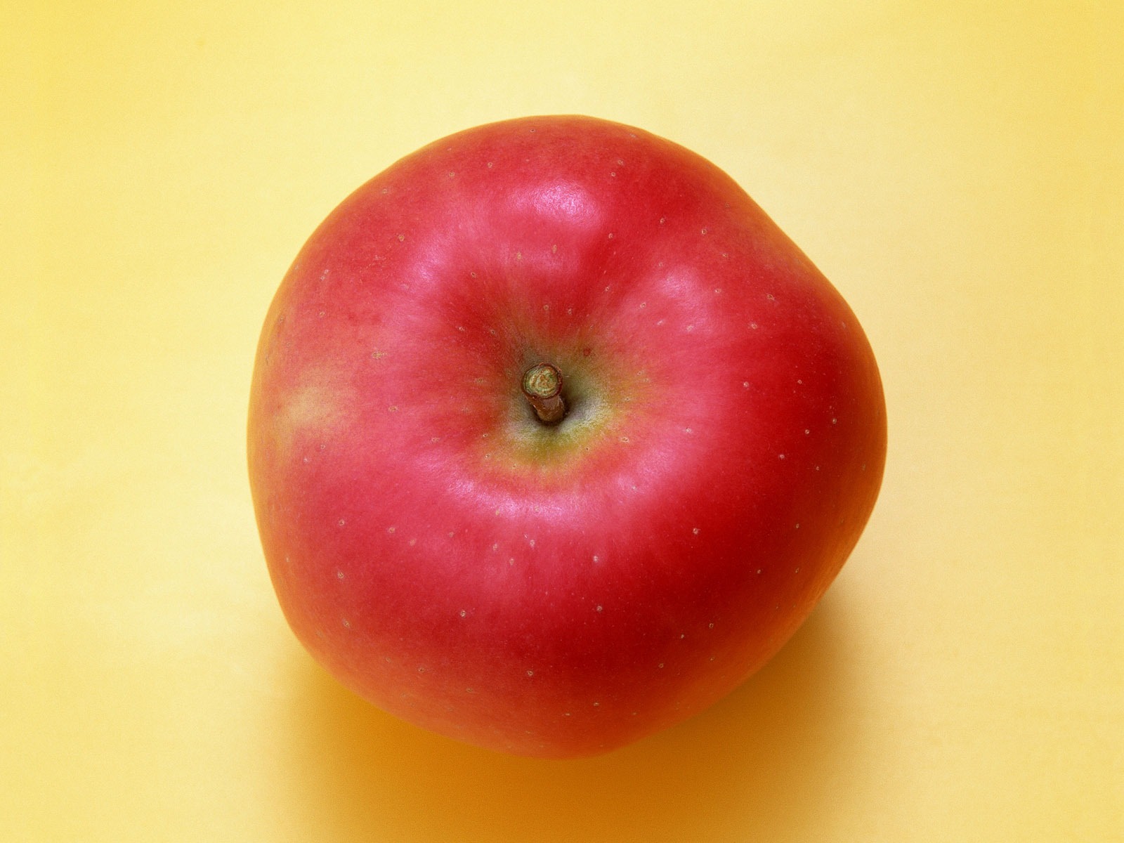 Fond d'écran photo de fruits (7) #14 - 1600x1200