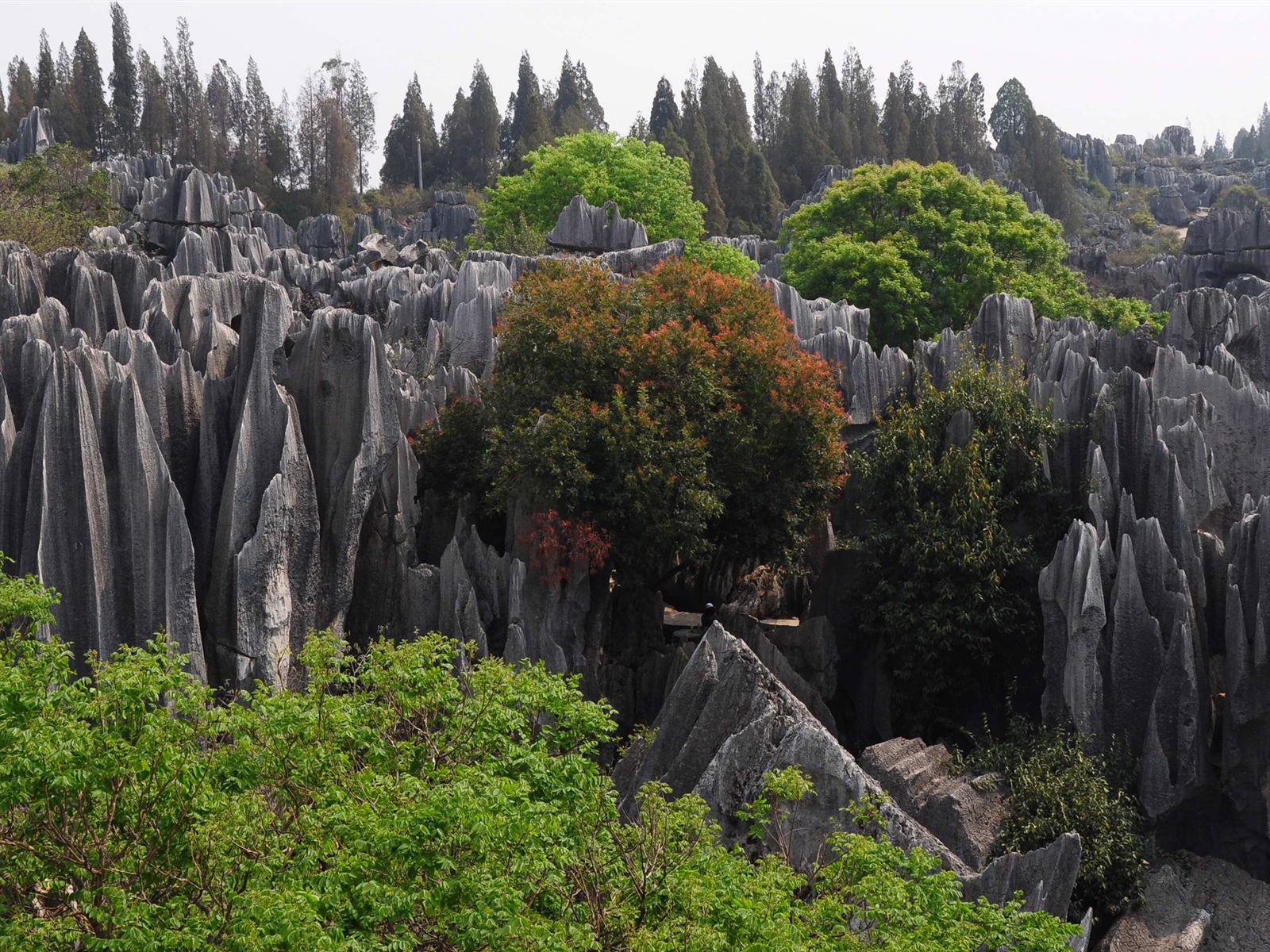 Bosque de Piedras de Yunnan en línea (1) (obras Khitan lobo) #10 - 1600x1200