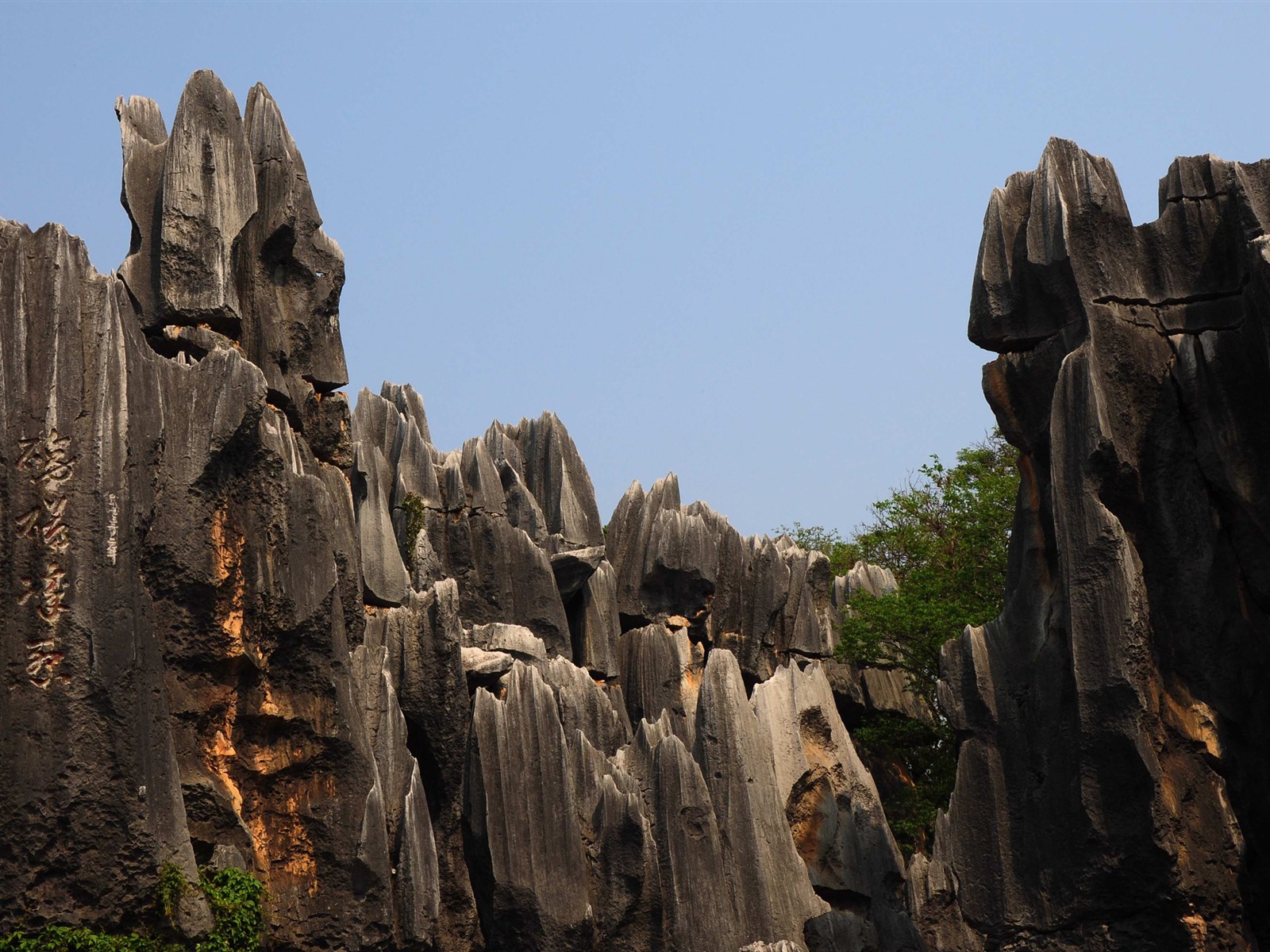 Stone Forest in Yunnan line (1) (Khitan wolf works) #13 - 1600x1200