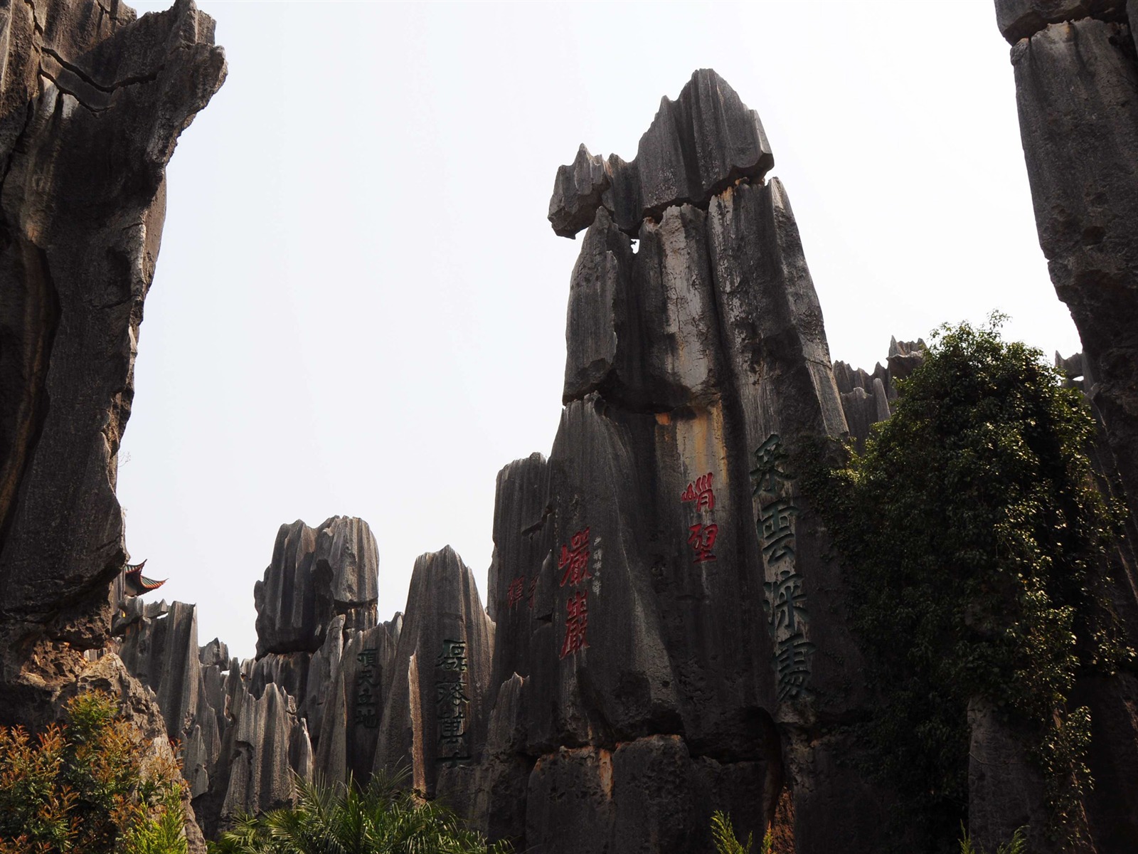 Bosque de Piedras de Yunnan en línea (1) (obras Khitan lobo) #14 - 1600x1200