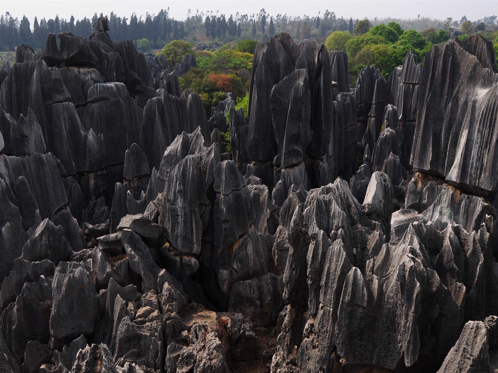 Bosque de Piedras de Yunnan en línea (1) (obras Khitan lobo) #16 - 1600x1200