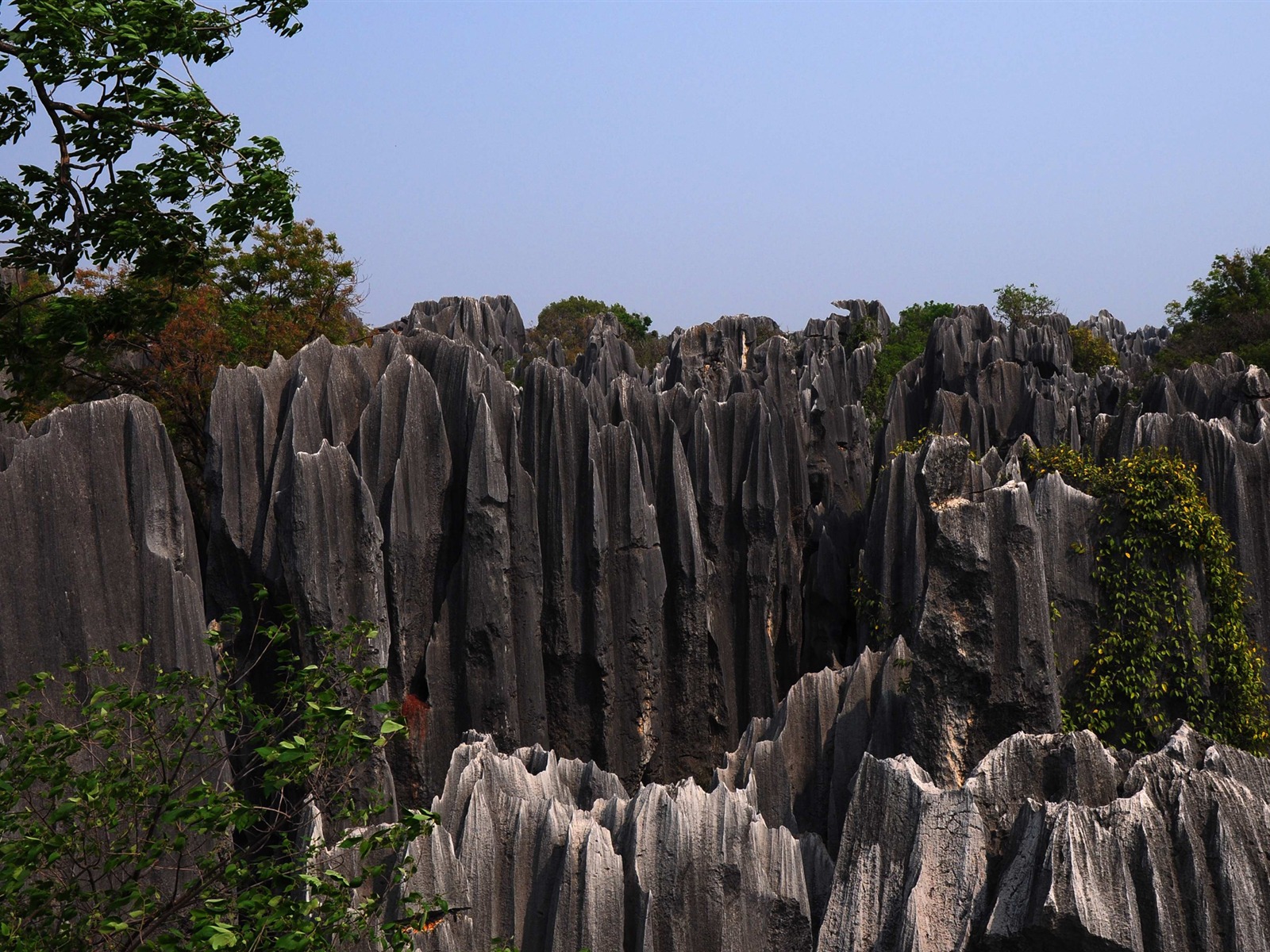 Bosque de Piedras de Yunnan en línea (1) (obras Khitan lobo) #19 - 1600x1200