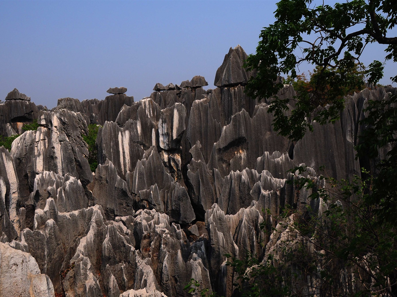 Bosque de Piedras de Yunnan en línea (1) (obras Khitan lobo) #20 - 1600x1200