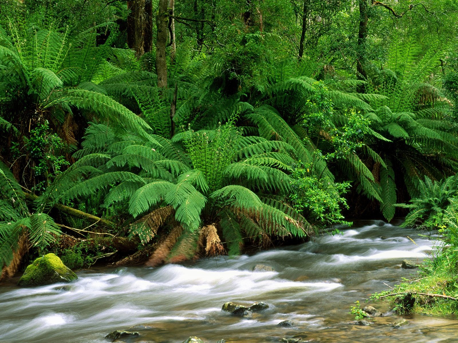 Waterfall-Streams Wallpaper (6) #10 - 1600x1200