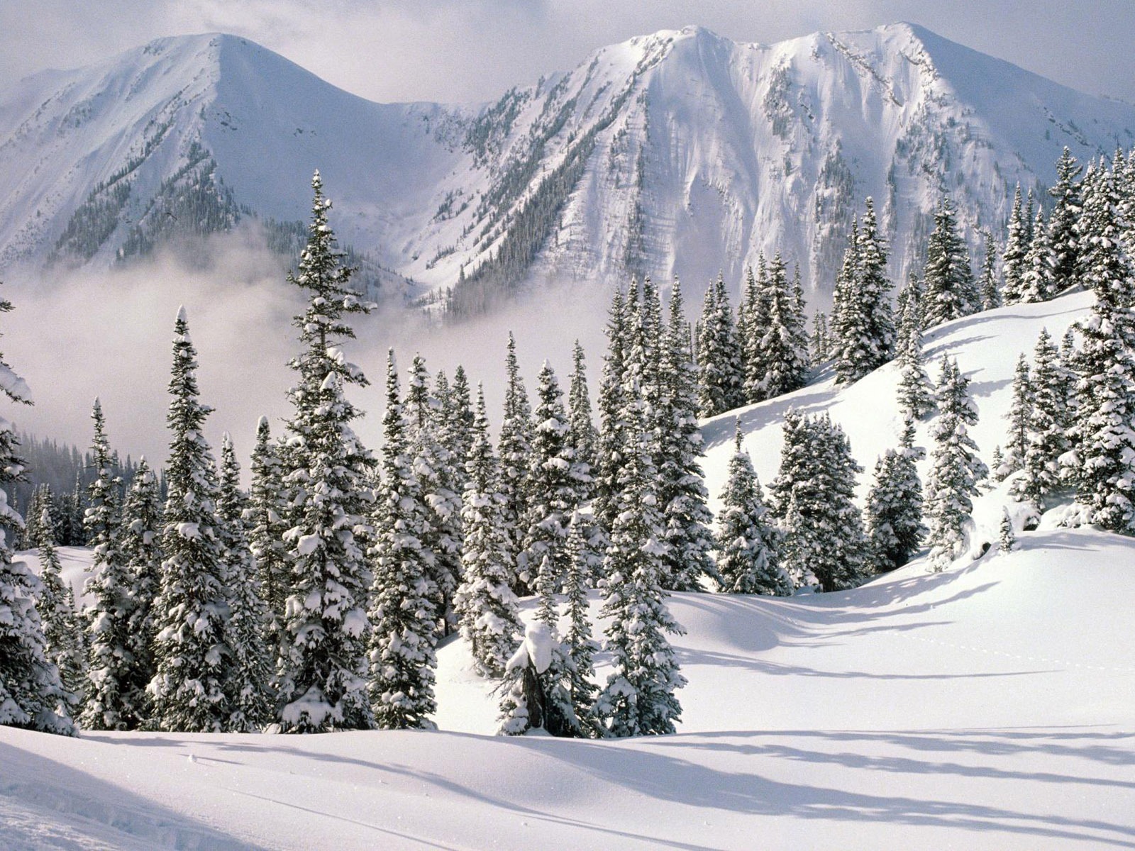 Fond d'écran panoramique de neige (1) #19 - 1600x1200