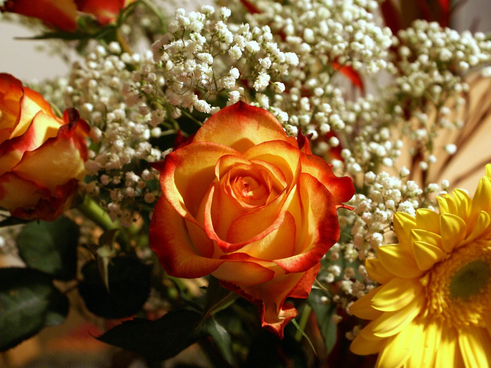 fleurs fond d'écran Widescreen close-up (18) #19 - 1600x1200