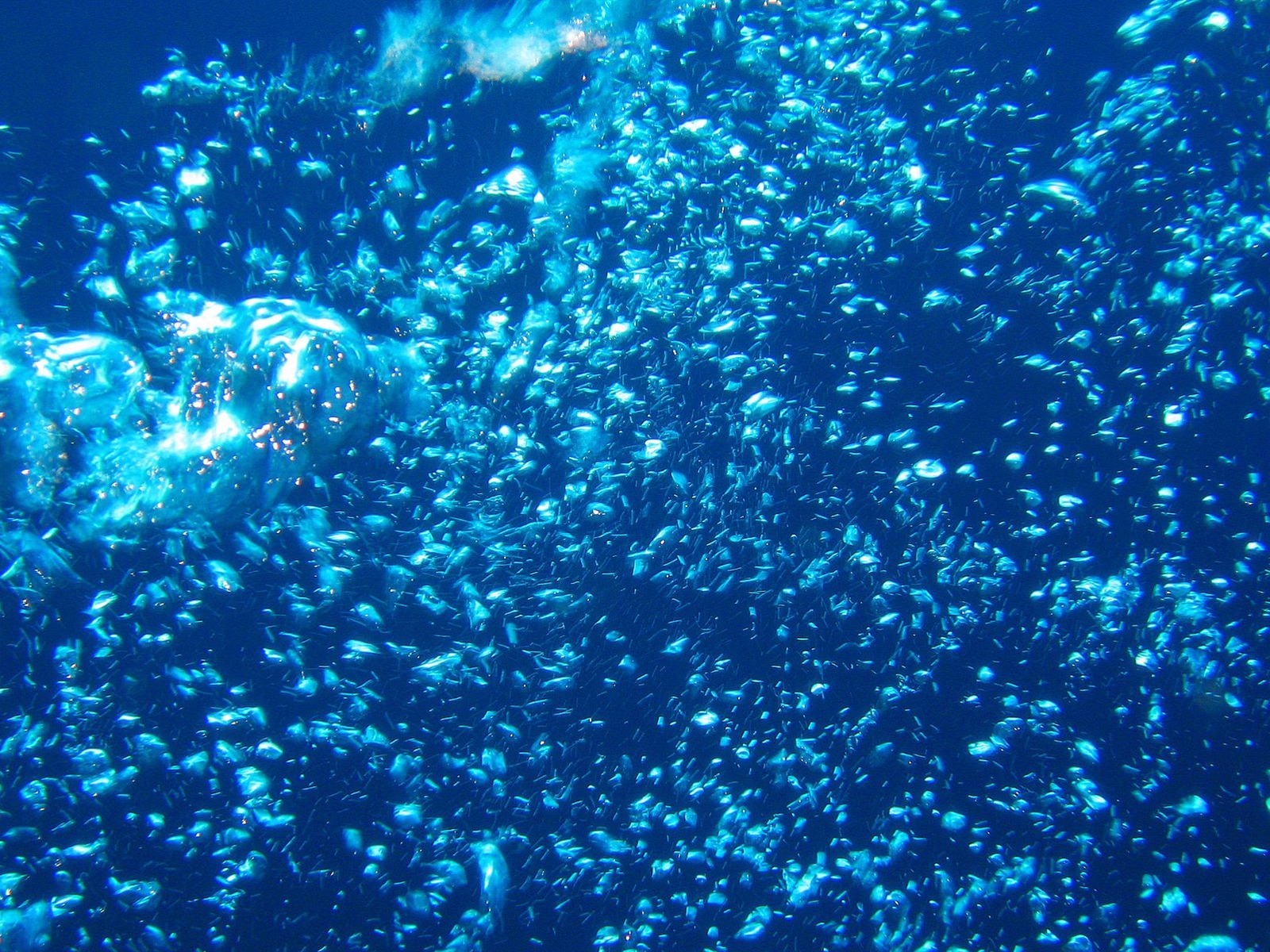 Zábava Underwater World (4) #23 - 1600x1200