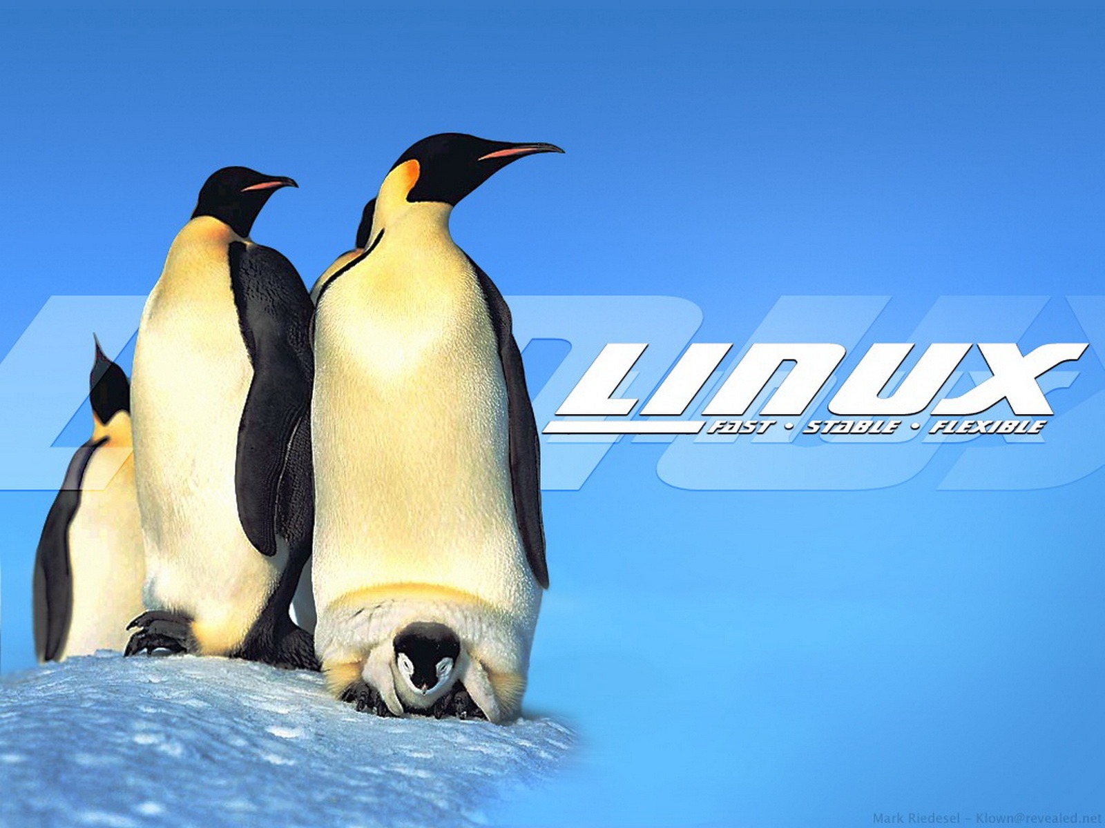 Linux обои (1) #20 - 1600x1200
