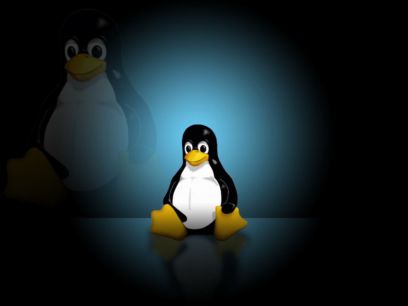 Linux tapety (2) #6 - 1600x1200