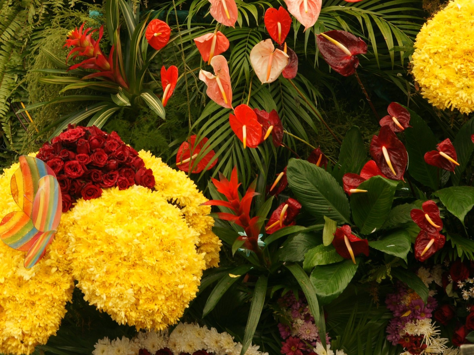 fleurs colorées décorent fond d'écran (1) #9 - 1600x1200