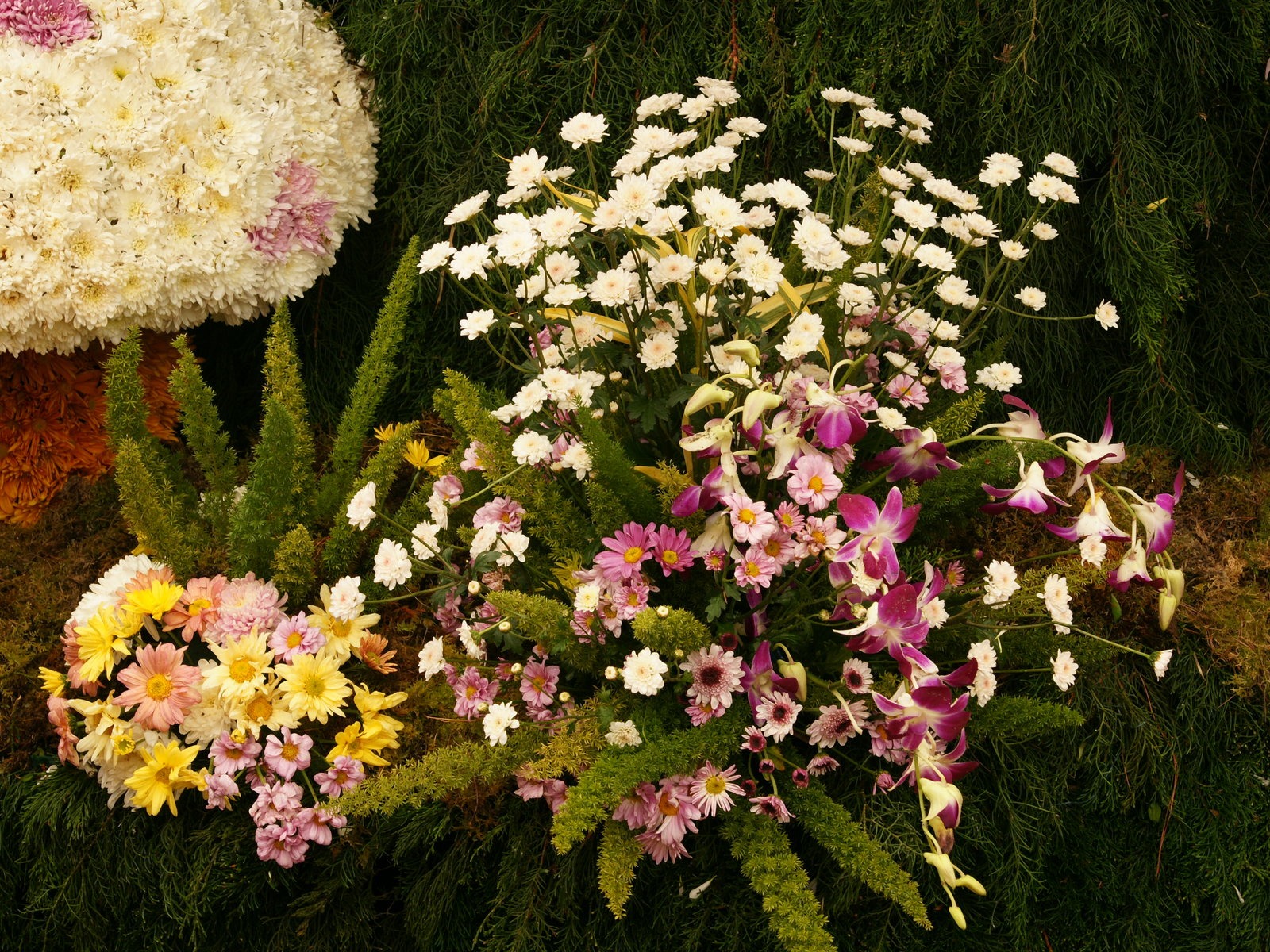 fleurs colorées décorent fond d'écran (3) #4 - 1600x1200