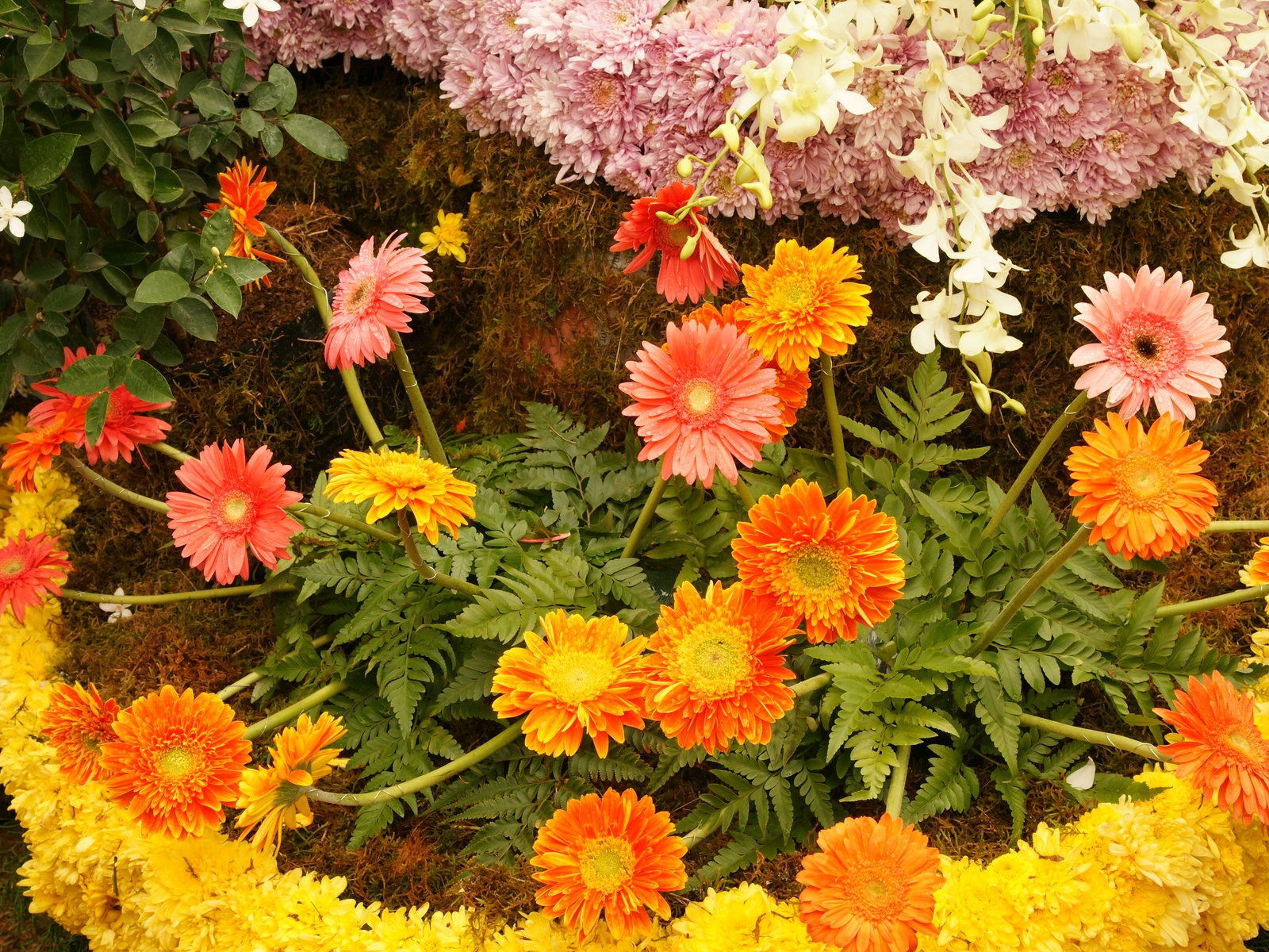色とりどりの花は、 (4) 壁紙を飾る #19 - 1600x1200