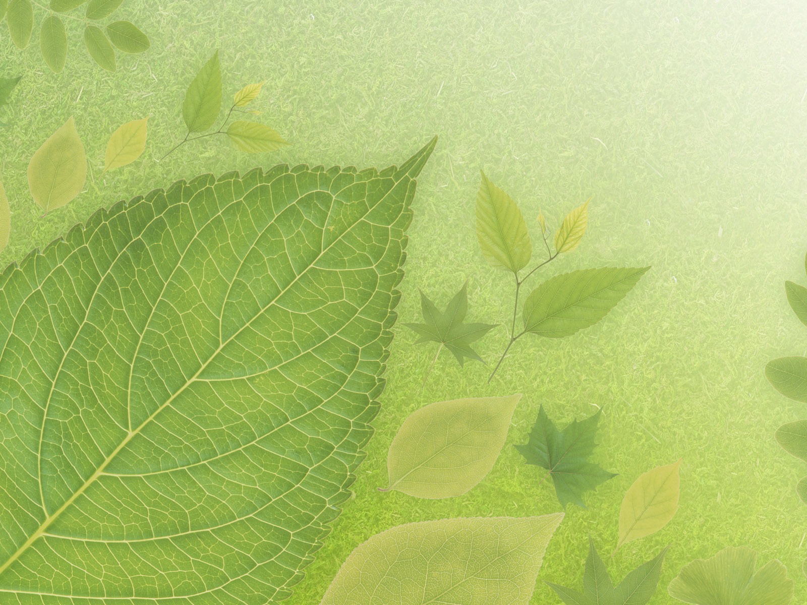 緑と自然の壁紙 (4) #6 - 1600x1200