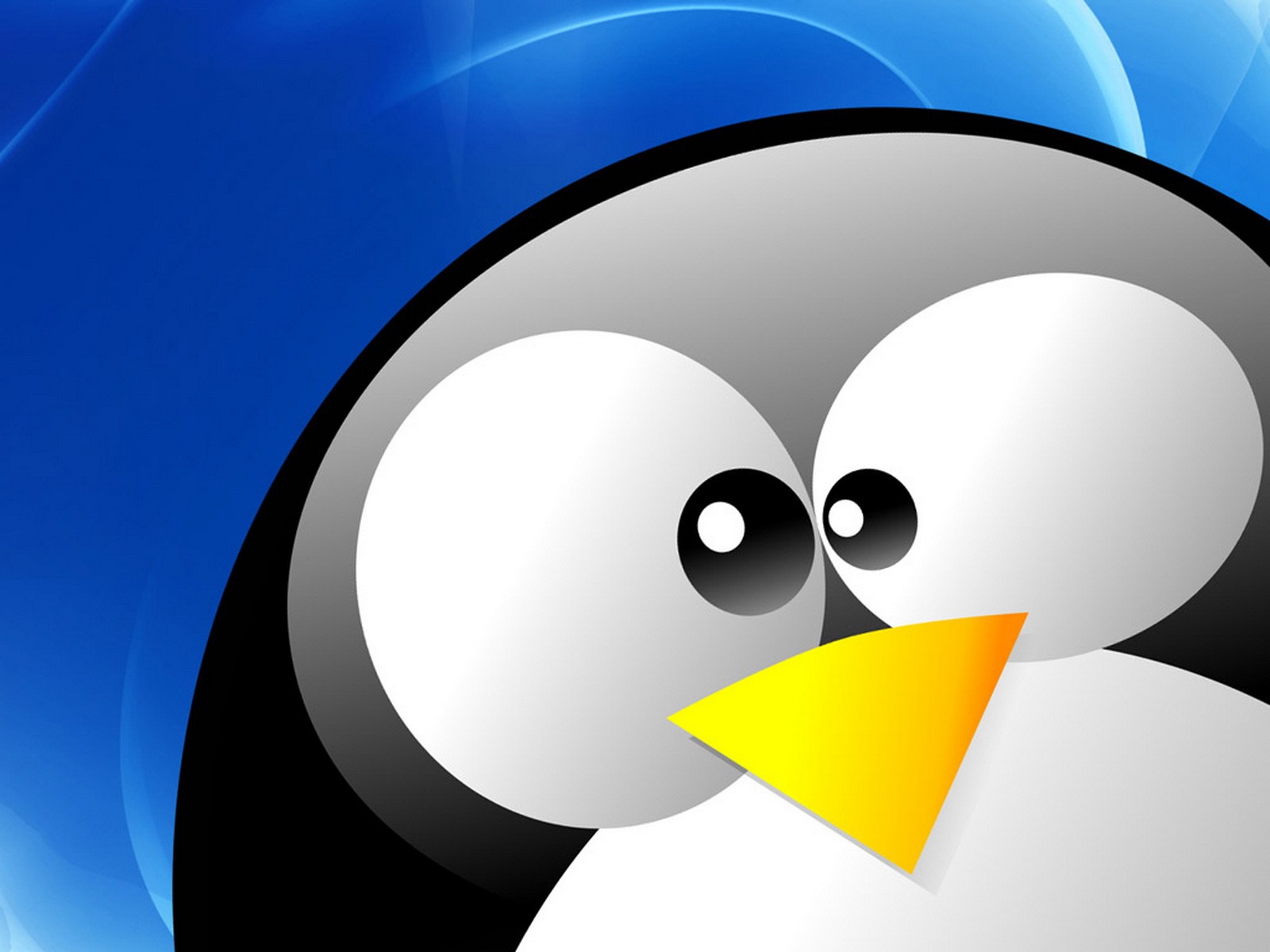 Fond d'écran Linux (3) #3 - 1600x1200