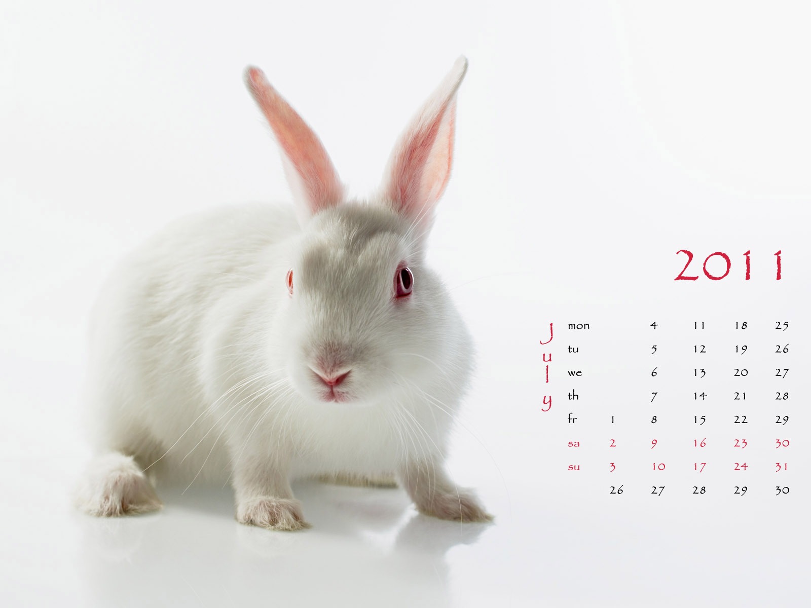 Год Кролика 2011 календарь обои (1) #7 - 1600x1200