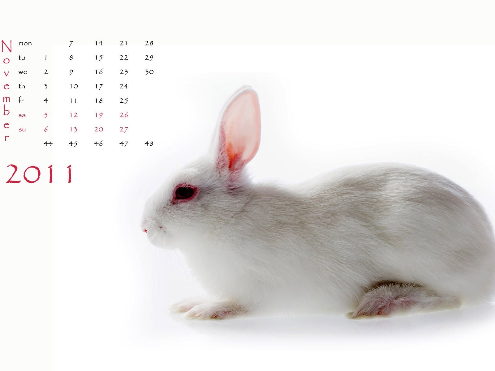 Year of the Rabbit 2011 calendar wallpaper (1) #11 - 1600x1200