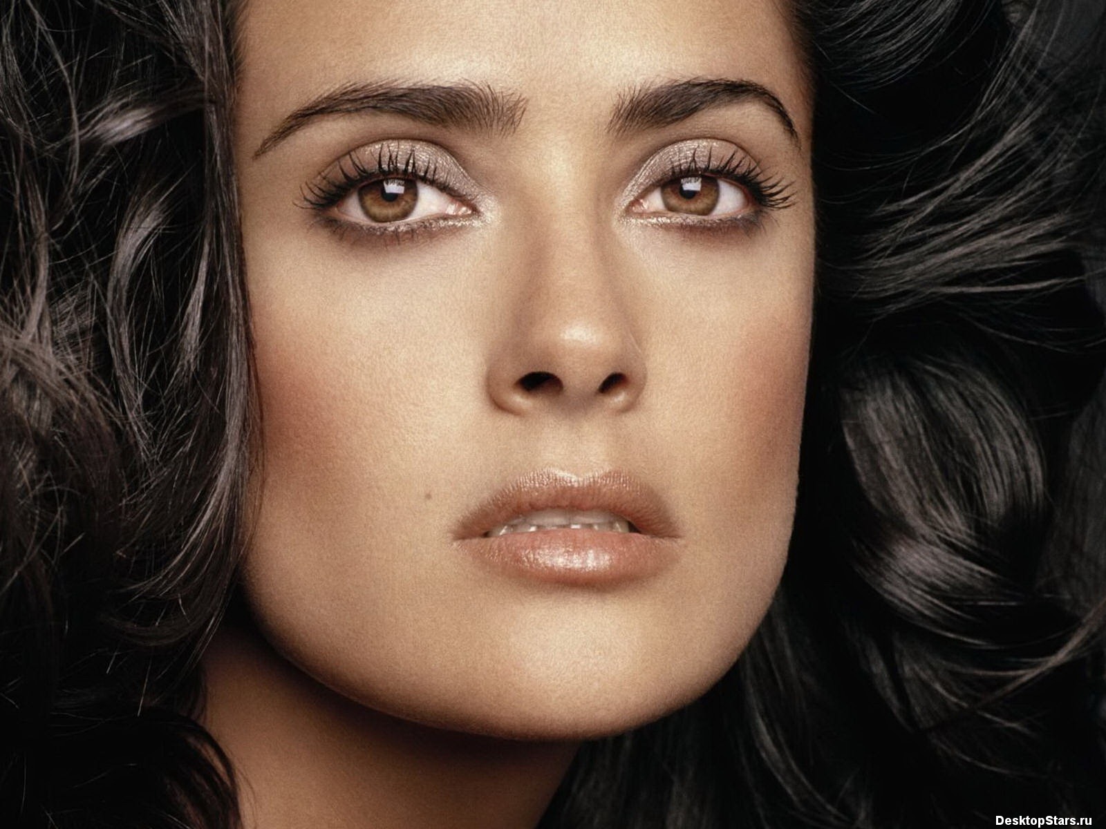 Salma Hayek krásnou tapetu (1) #18 - 1600x1200