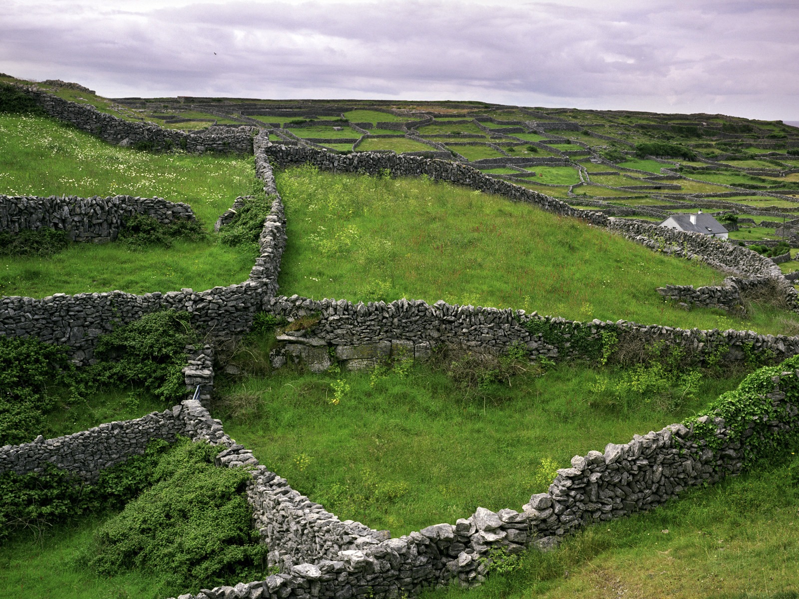 Красивые пейзажи Ирландии обои #2 - 1600x1200