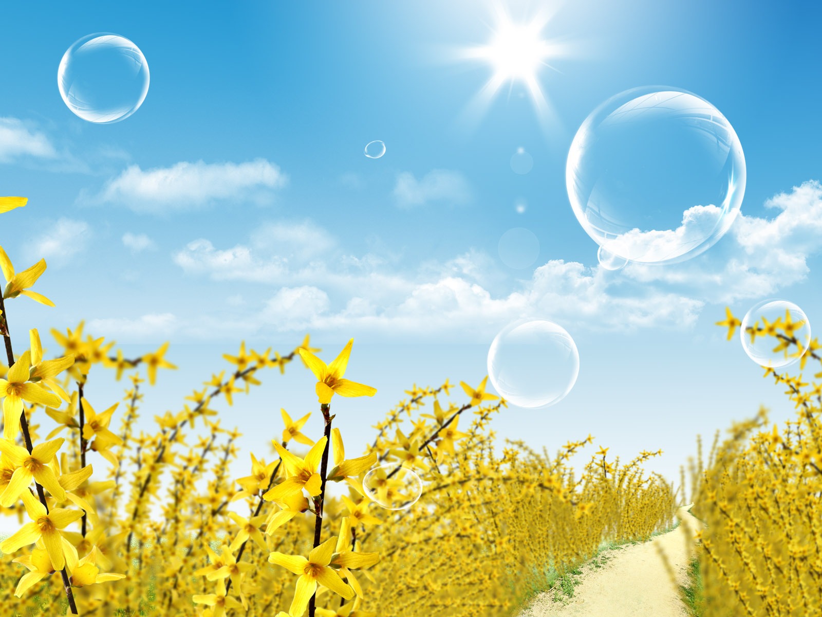 Photoshop солнечные обои летний пейзаж (1) #14 - 1600x1200