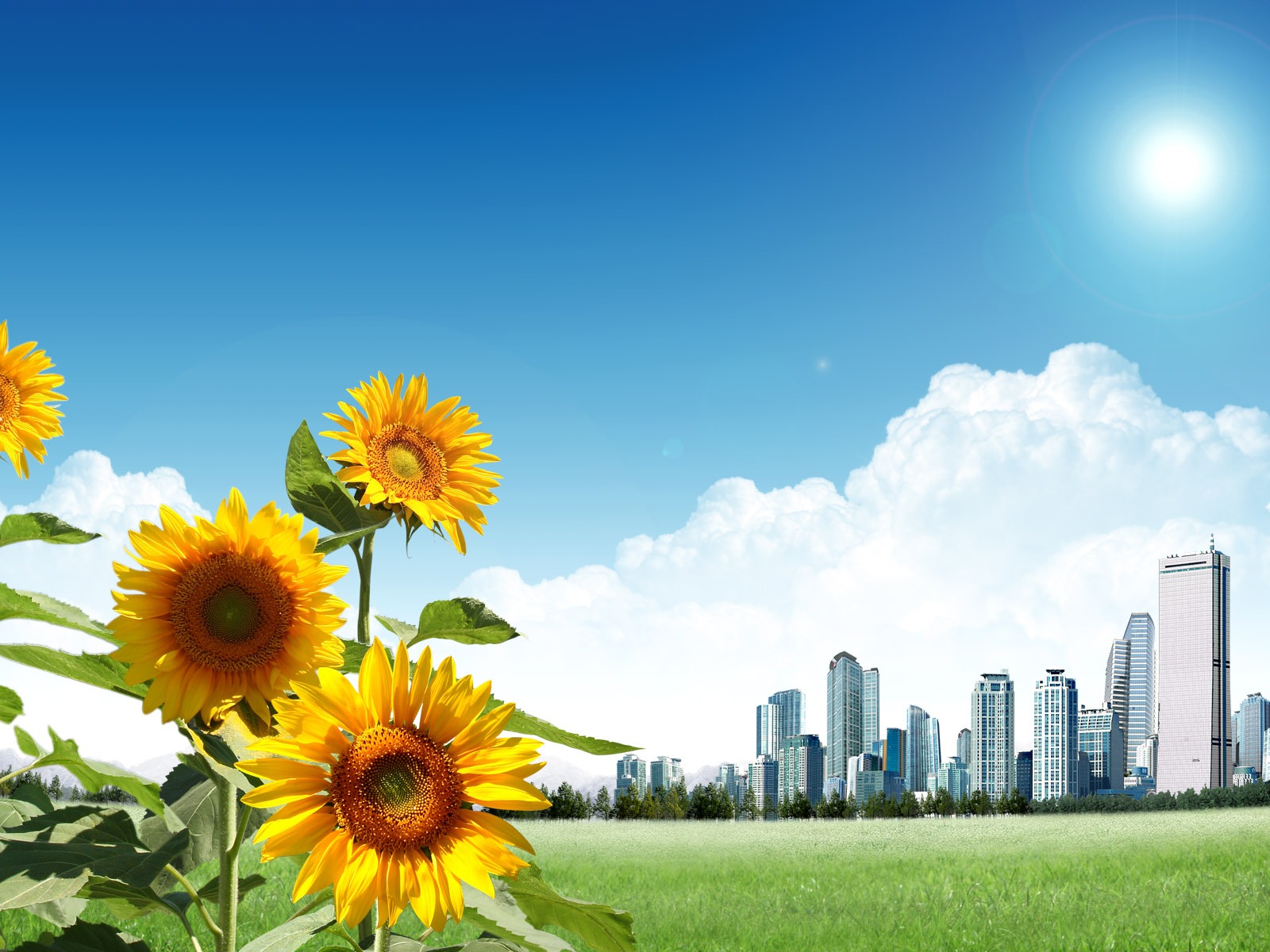 Photoshop солнечные обои летний пейзаж (1) #16 - 1600x1200