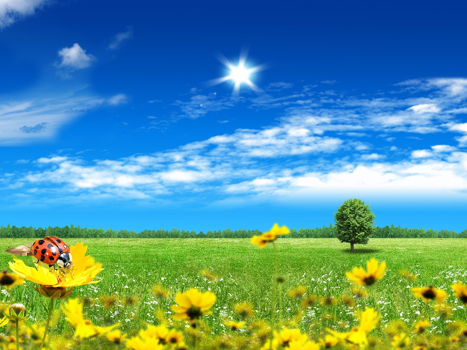 Photoshop солнечные обои летний пейзаж (2) #8 - 1600x1200