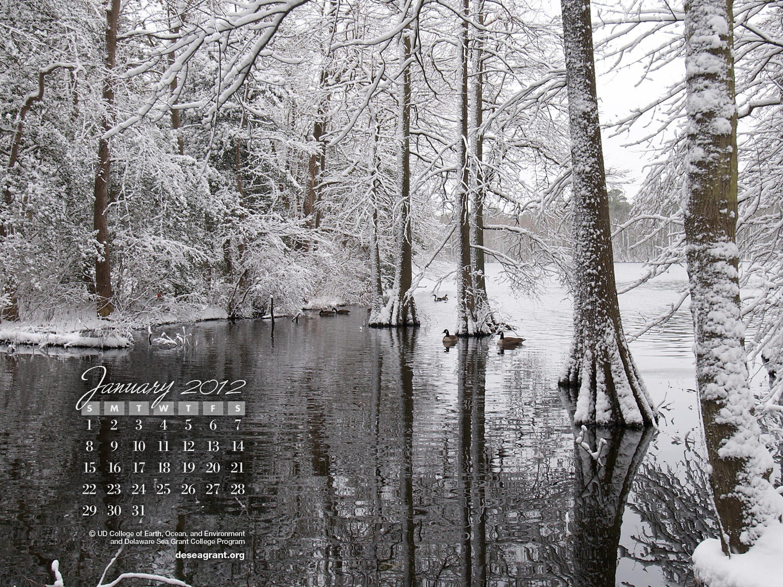 Январь 2012 Календарь Обои #2 - 1600x1200