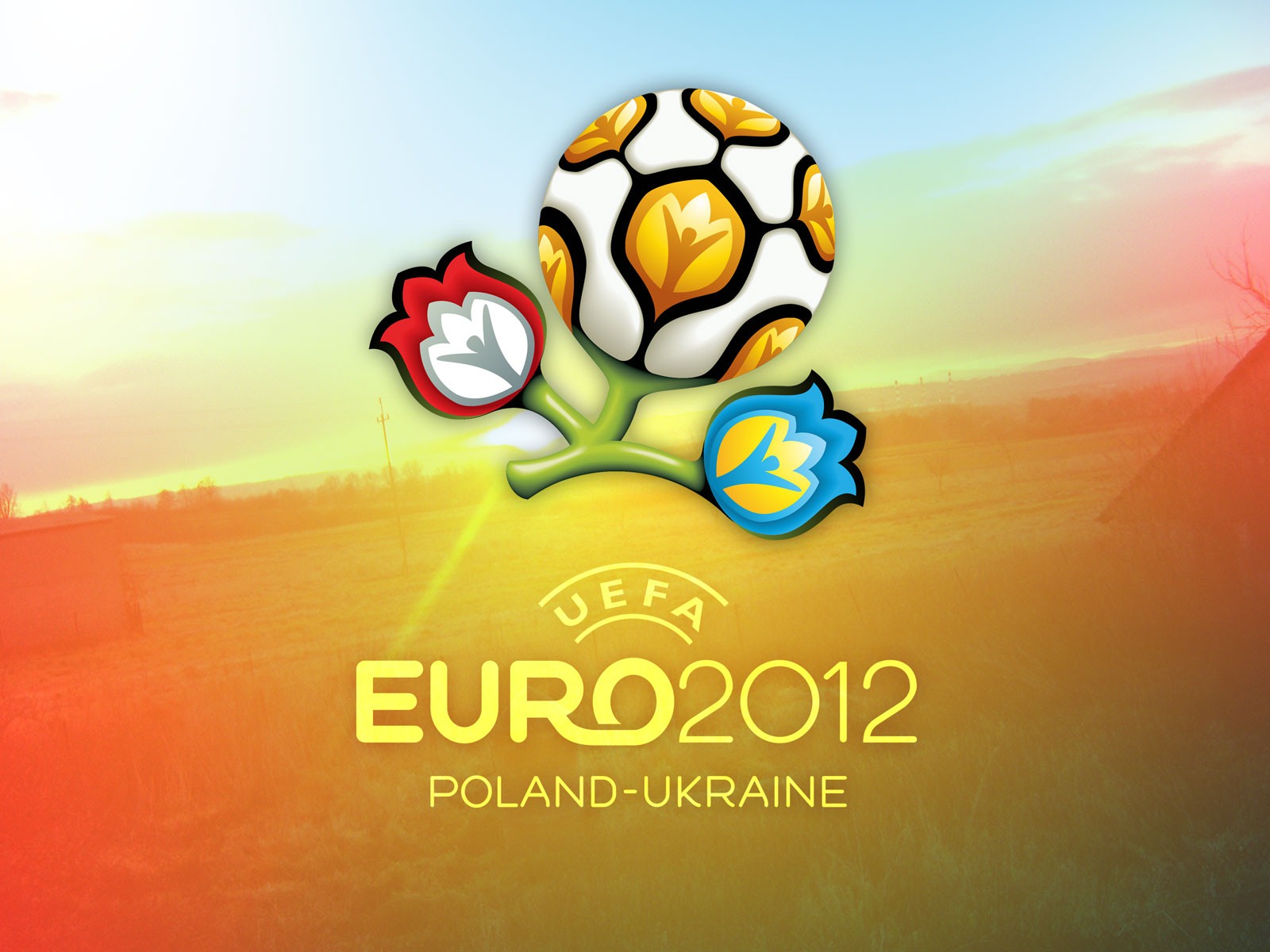 UEFA EURO 2012 HD wallpapers (1) #1 - 1600x1200