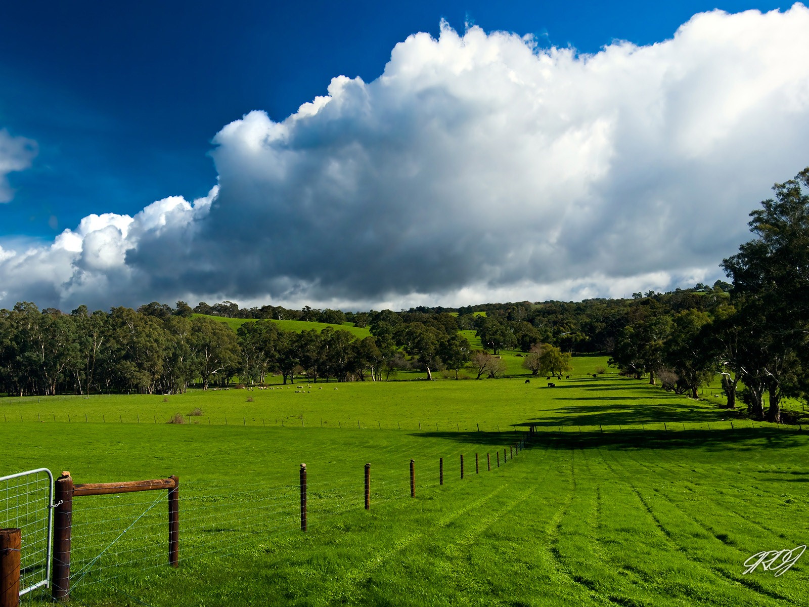 Hermosos paisajes de Australia fondos de pantalla de alta definición #2 - 1600x1200