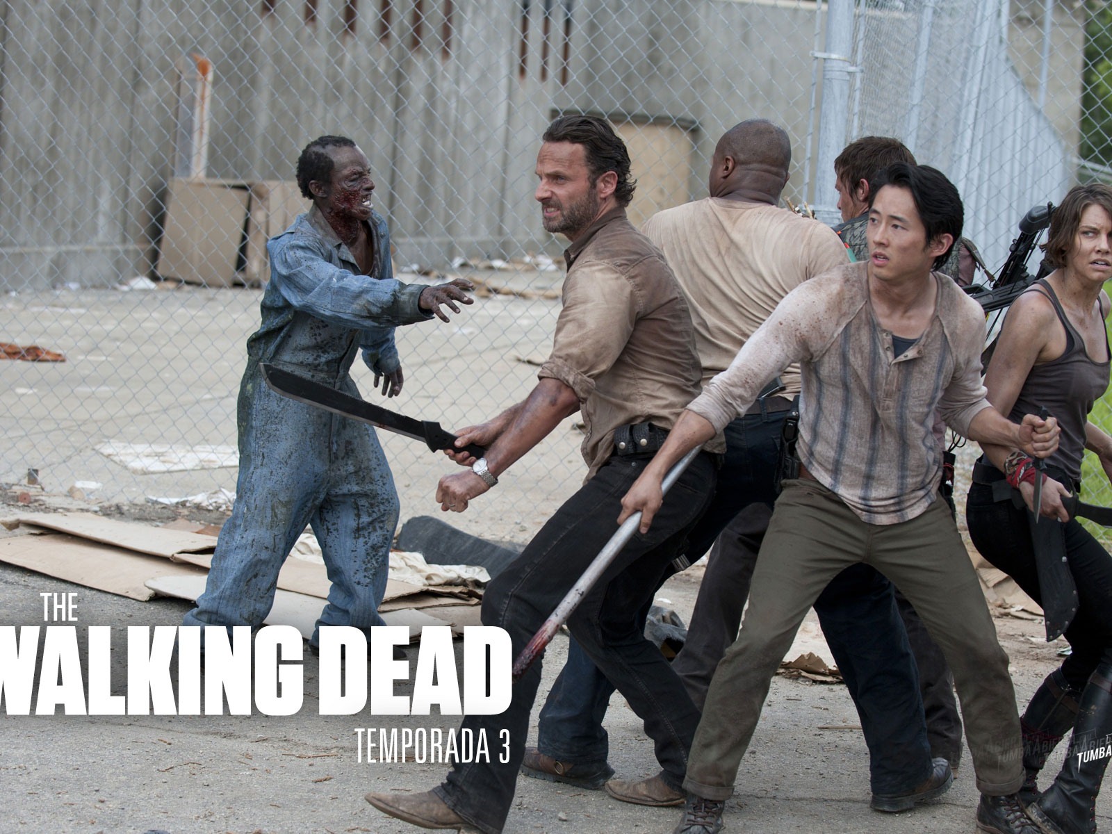 The Walking Dead HD Tapety na plochu #17 - 1600x1200
