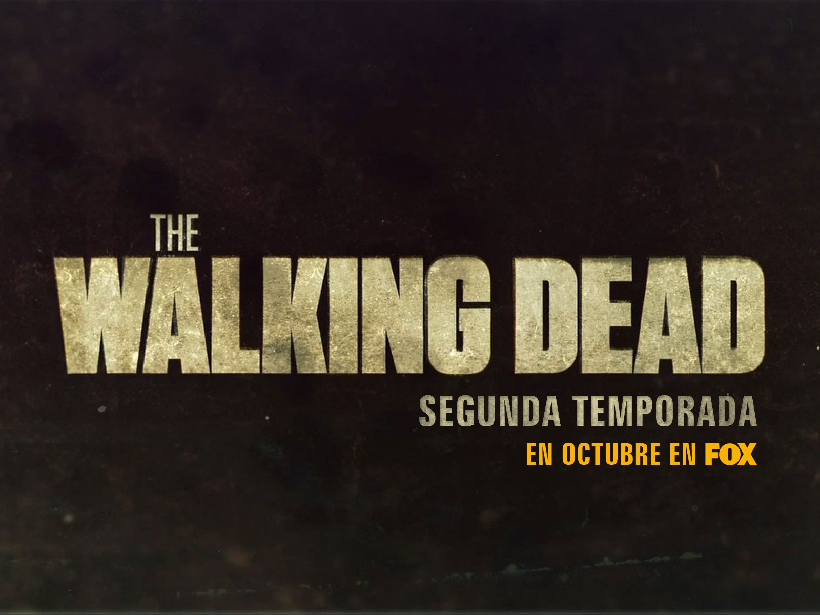 The Walking Dead 行尸走肉 高清壁纸19 - 1600x1200