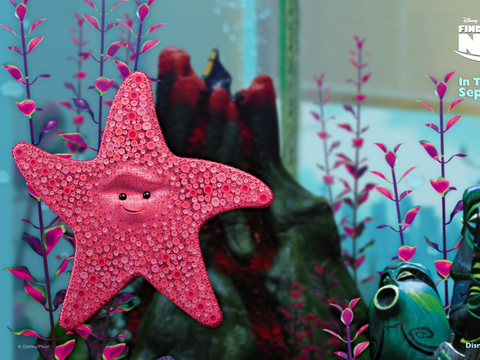Finding Nemo 3D 海底总动员 3D 2012高清壁纸20 - 1600x1200
