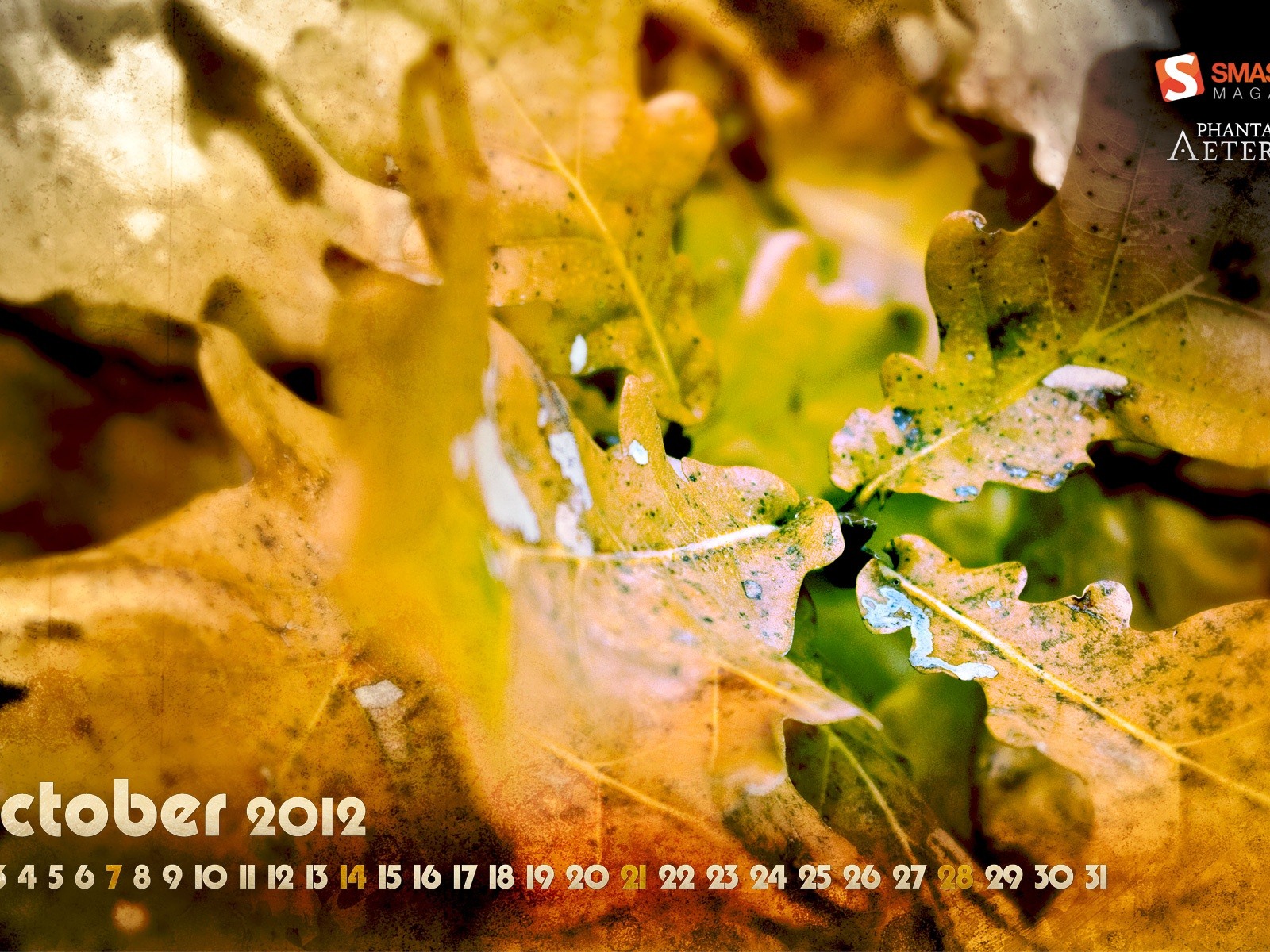Октябрь 2012 Календарь обои (1) #5 - 1600x1200