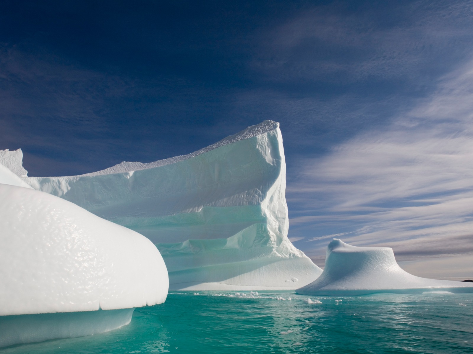 윈도우 8 배경 화면 : 북극의 자연 생태 경관, 북극 동물 #14 - 1600x1200