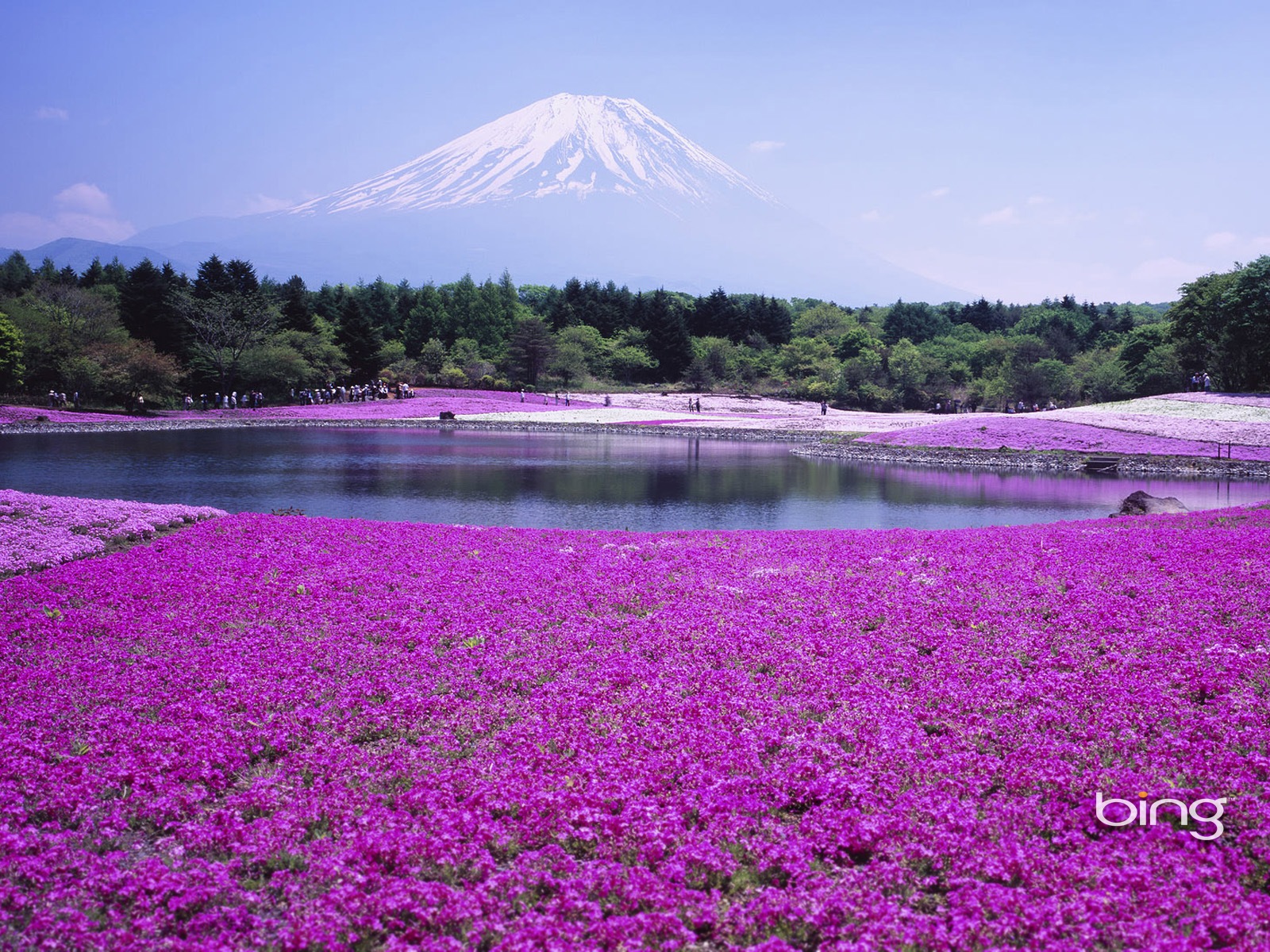 Microsoft Bing écran HD: Japonais papier peint thème du paysage #11 - 1600x1200