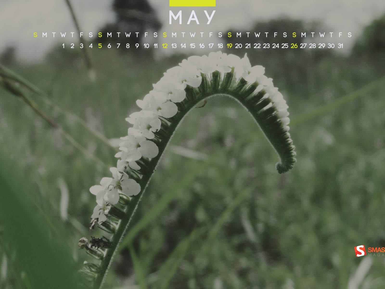 May 2013 calendar wallpaper (2) #13 - 1600x1200