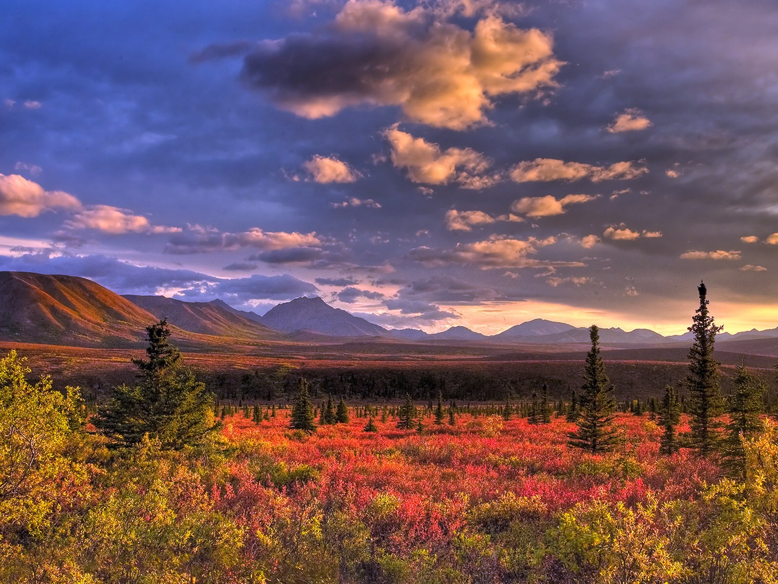 Denali National Park 丹那利国家公园 高清风景壁纸6 - 1600x1200