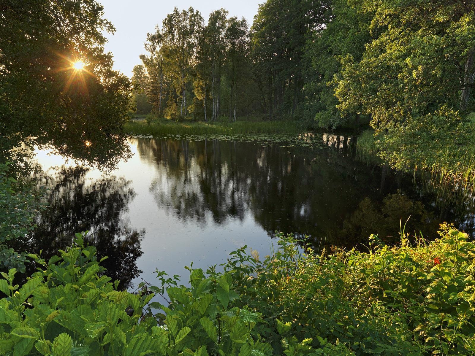 스웨덴 사계절 자연의 아름다움 HD 배경 화면 #3 - 1600x1200