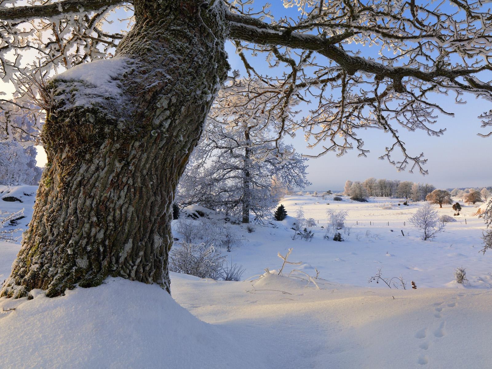 Švédsko sezón přírodní krásy HD tapety na plochu #13 - 1600x1200