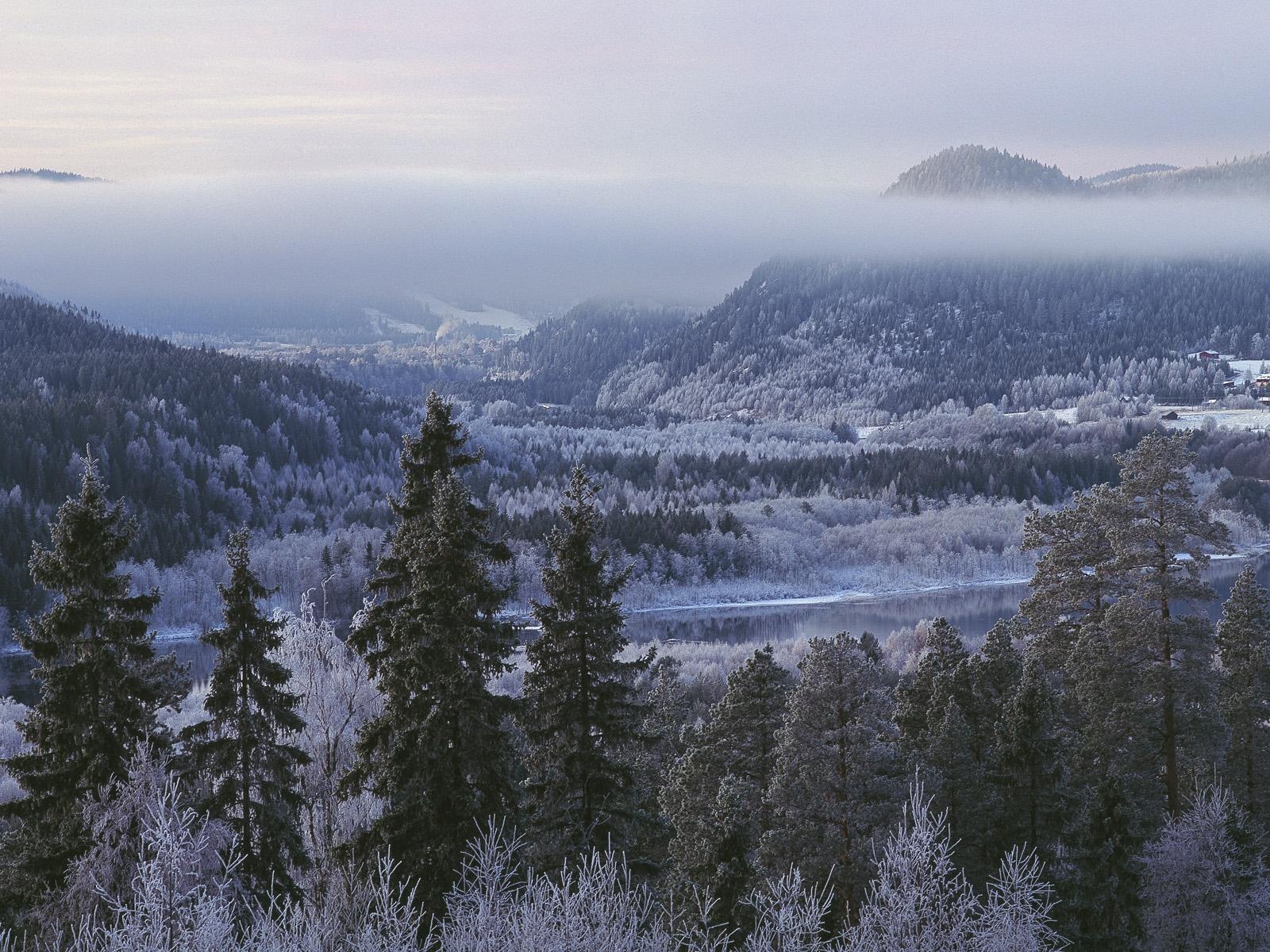 스웨덴 사계절 자연의 아름다움 HD 배경 화면 #17 - 1600x1200