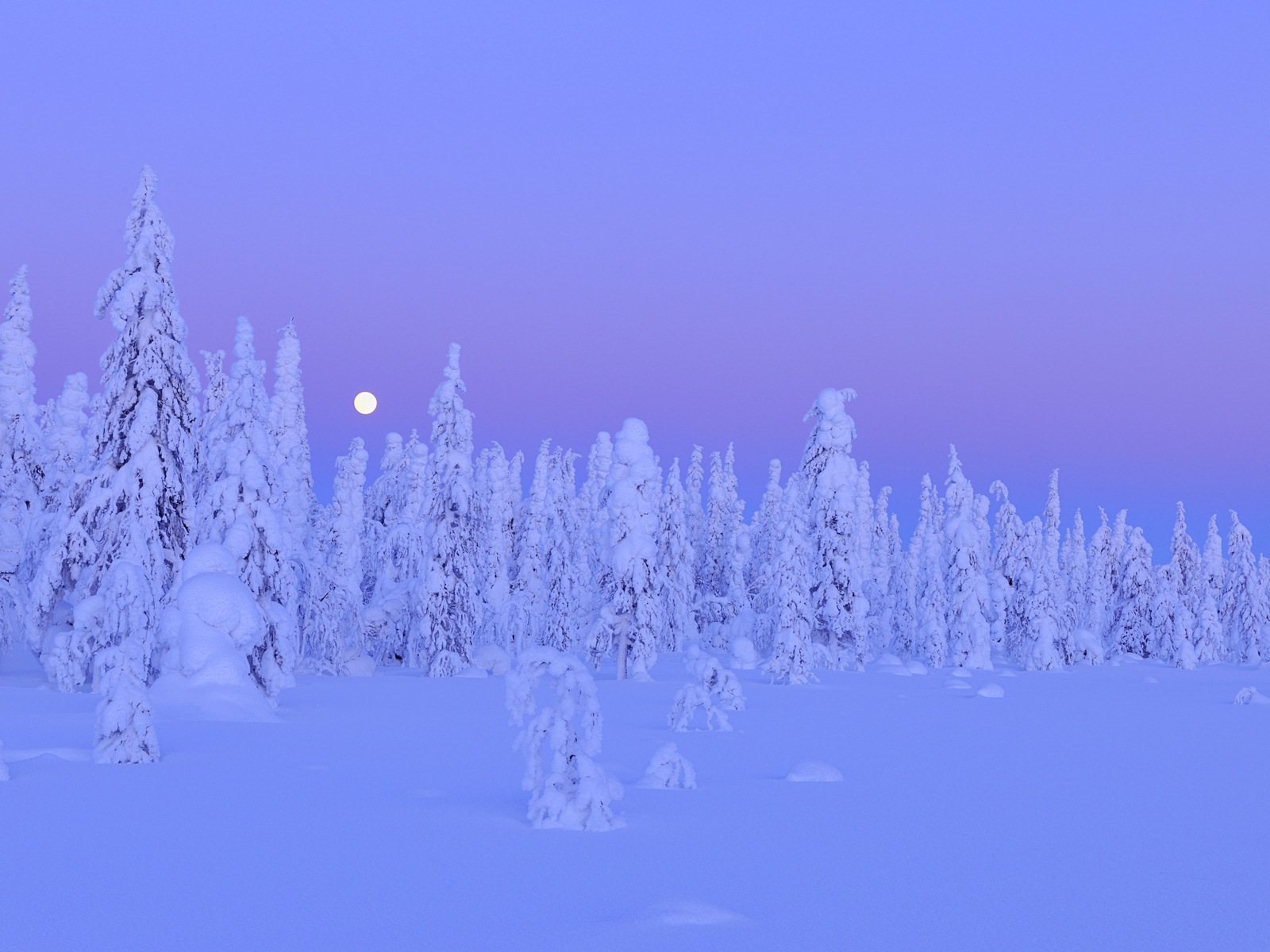 Windows 8 主题高清壁纸：冬季雪的夜景12 - 1600x1200