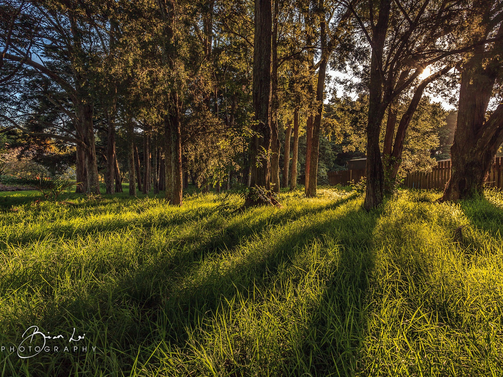 뉴질랜드 북섬의 아름다운 풍경, 윈도우 8 테마 배경 화면 #13 - 1600x1200