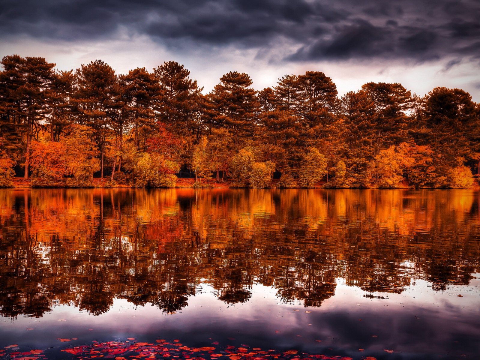 El agua y los árboles en otoño fondos de pantalla HD #13 - 1600x1200