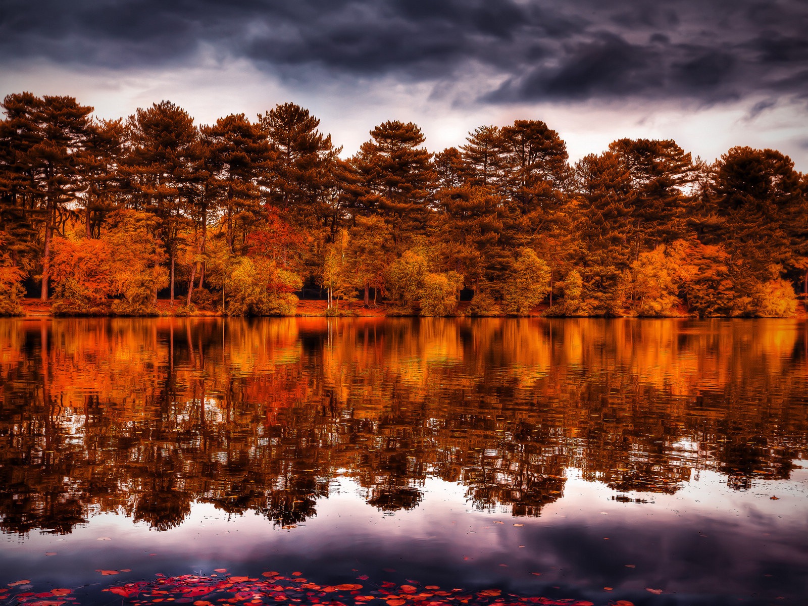 L'eau et les arbres en automne fonds d'écran HD #13 - 1600x1200