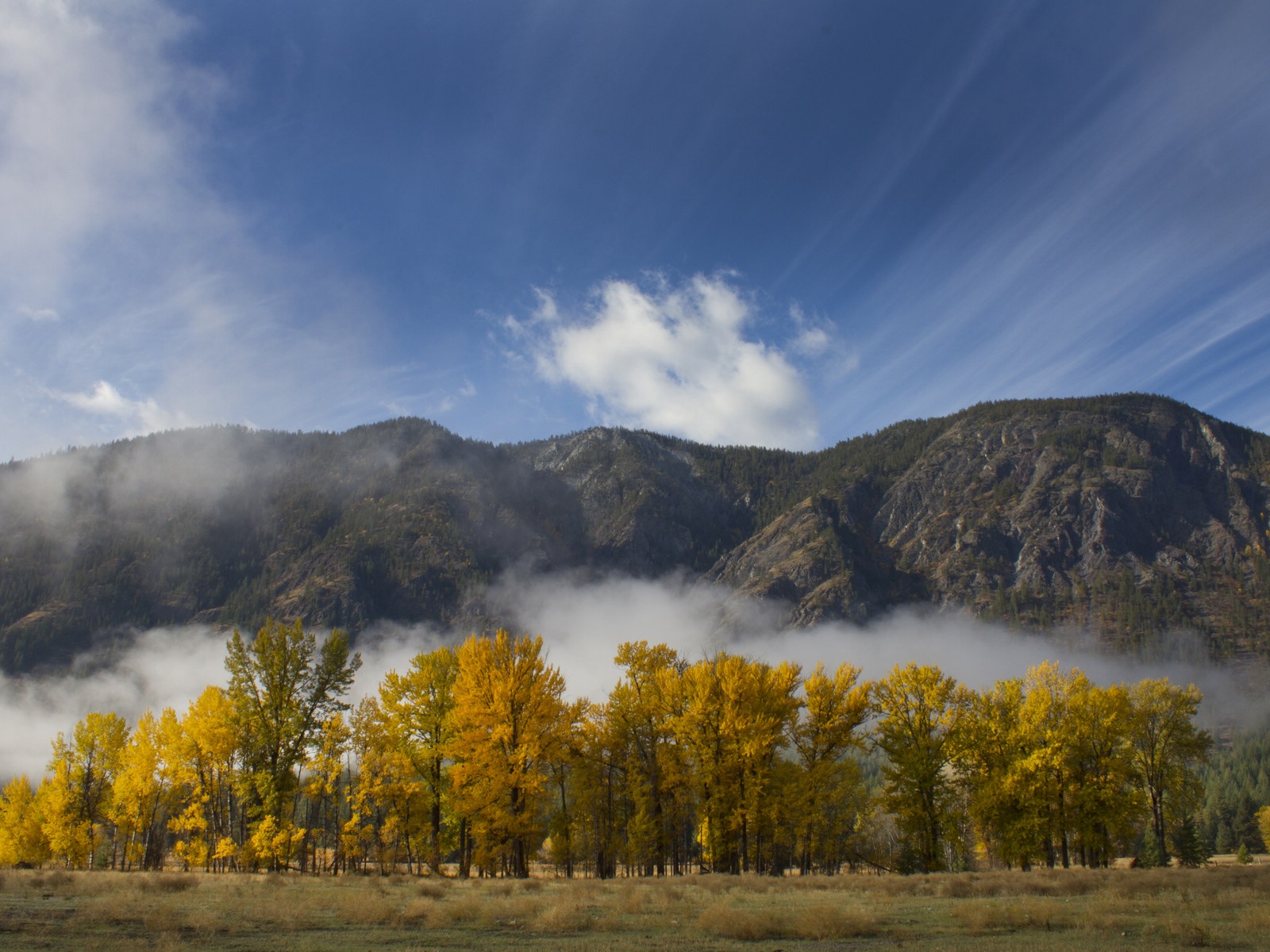 Foggy podzimní listí a stromy HD Tapety na plochu #9 - 1600x1200