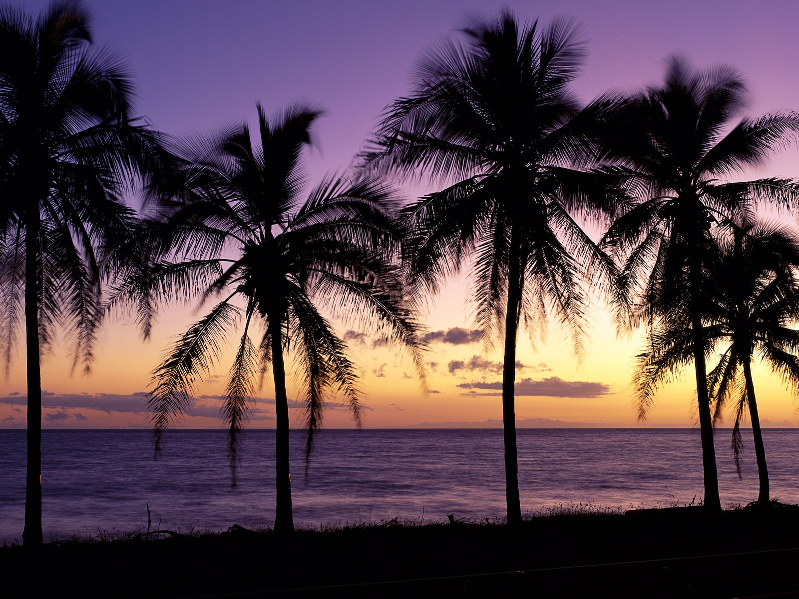 Hermosa puesta de sol de playa, Windows 8 fondos de pantalla de pantalla ancha panorámica #1 - 1600x1200