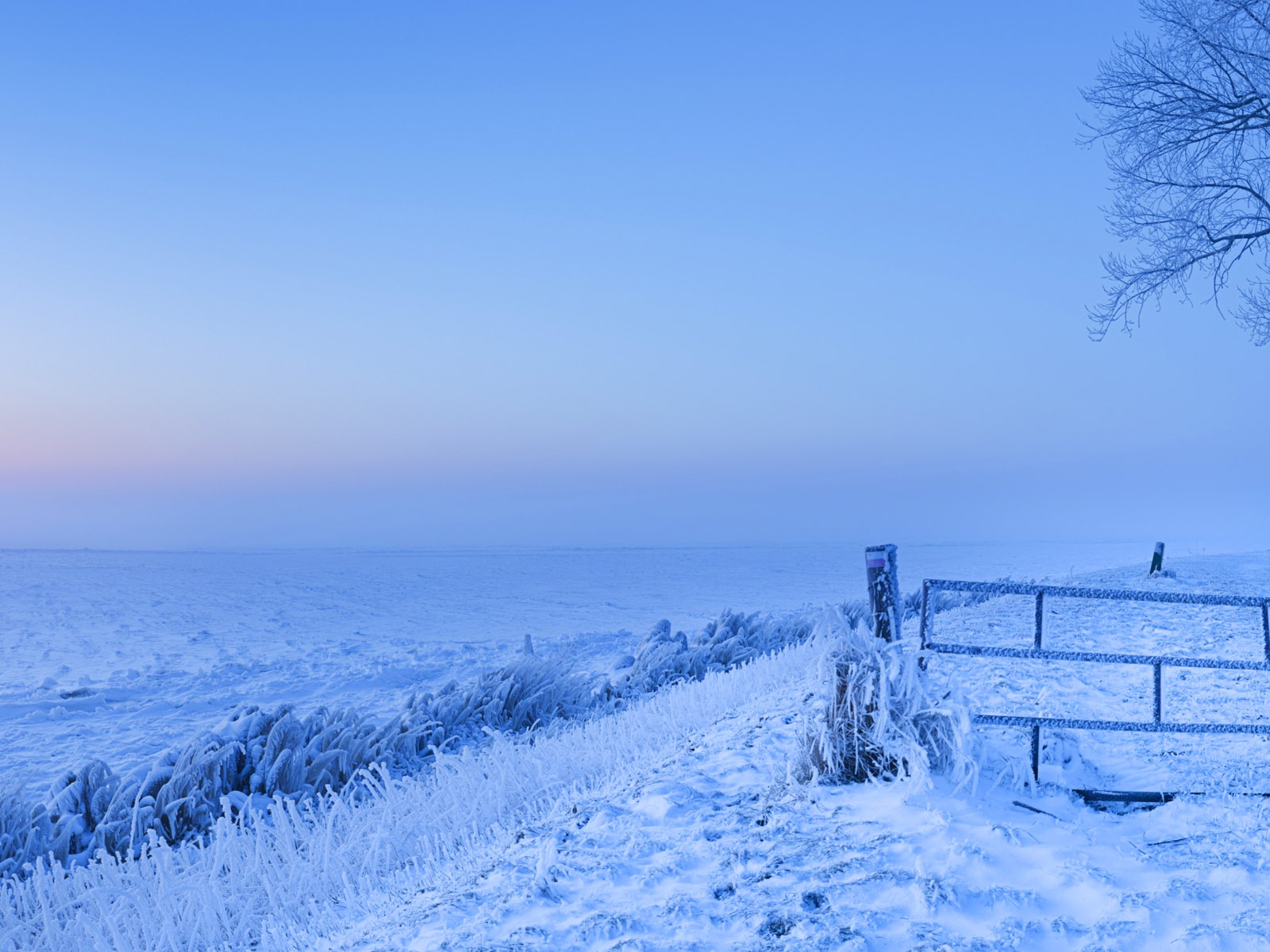 아름다운 추운 겨울 눈, 윈도우 8 파노라마 와이드 스크린 배경 화면 #2 - 1600x1200