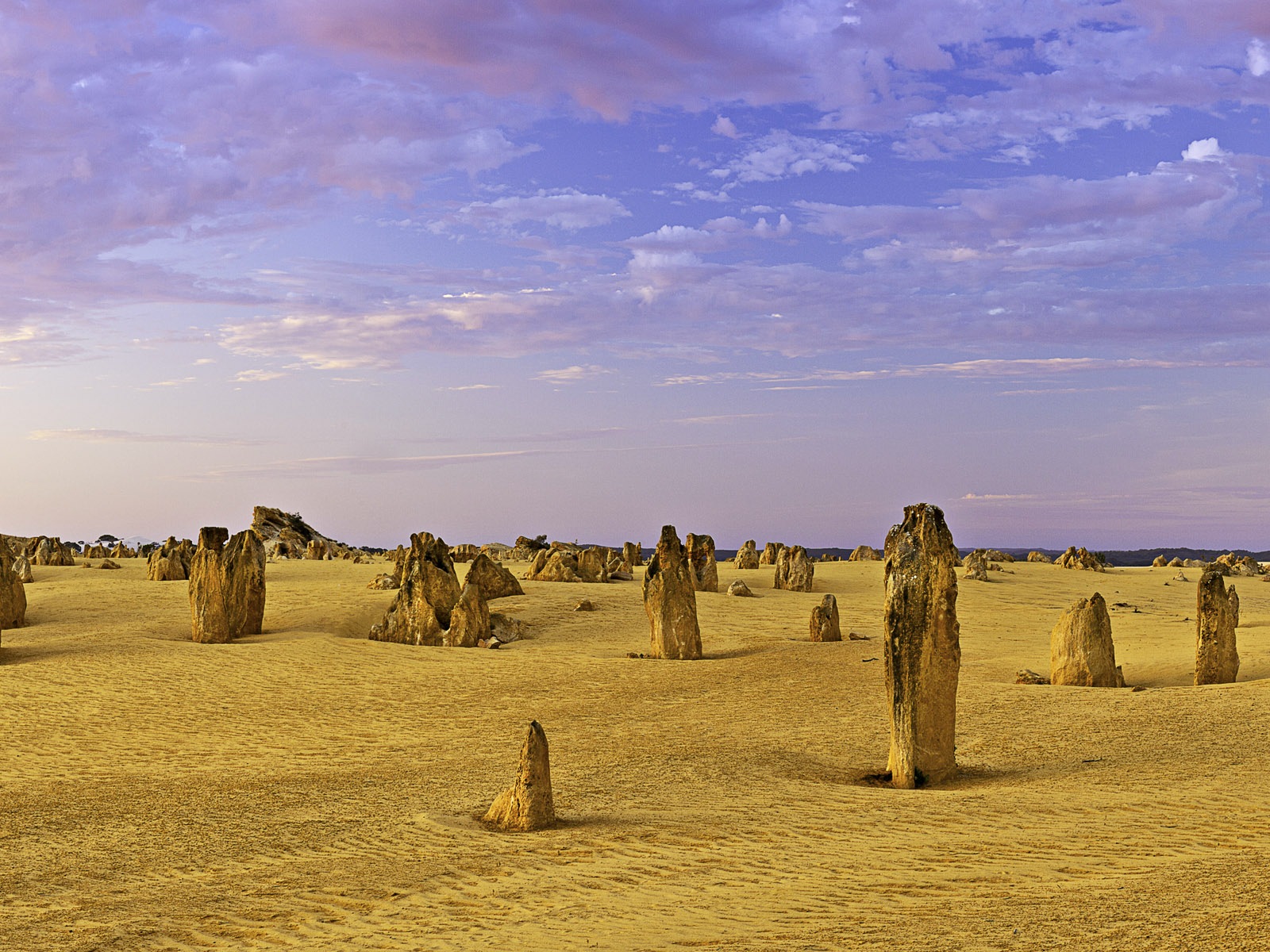뜨겁고 건조한 사막, 윈도우 8 파노라마 와이드 스크린 배경 화면 #8 - 1600x1200