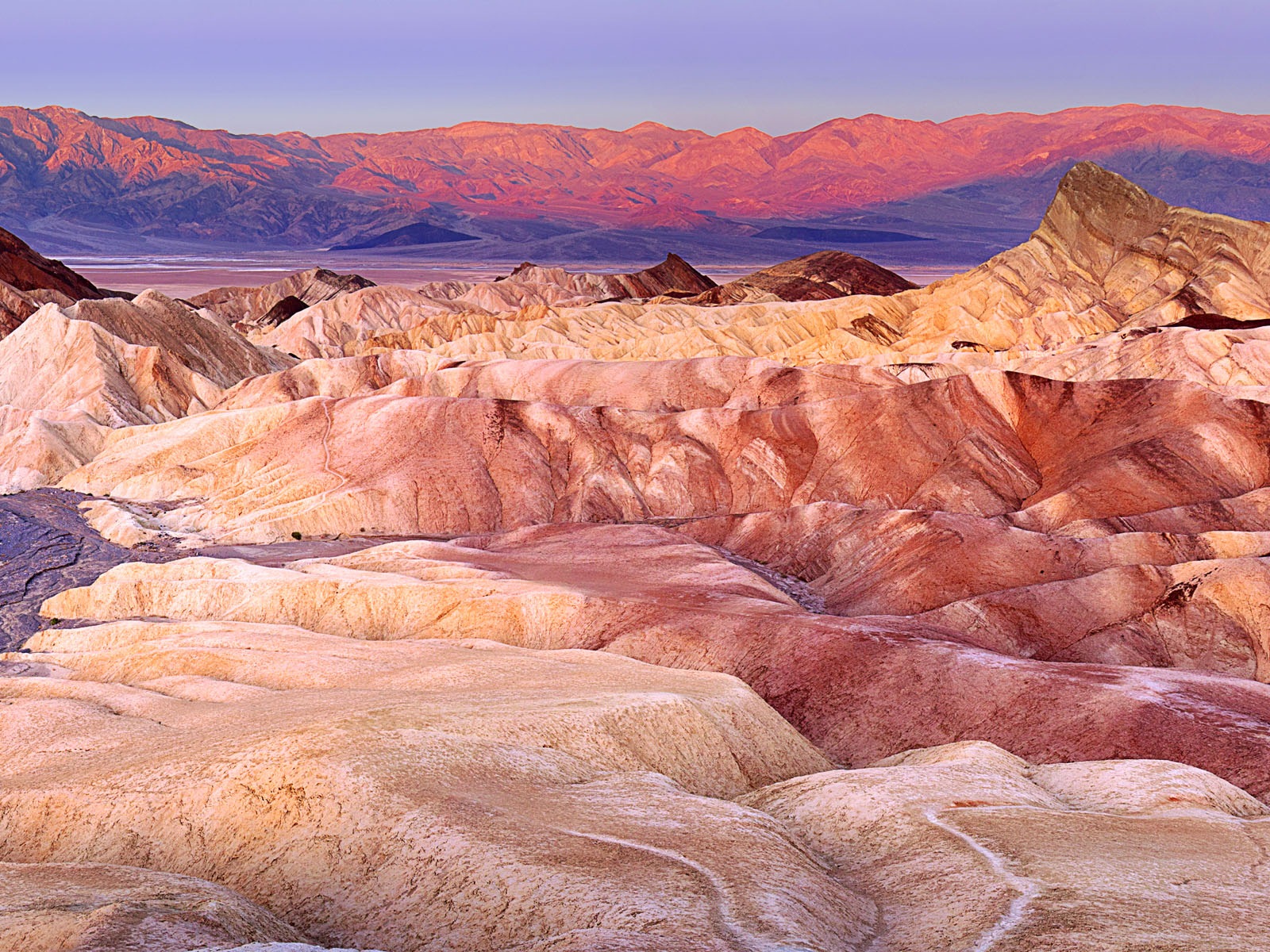 뜨겁고 건조한 사막, 윈도우 8 파노라마 와이드 스크린 배경 화면 #10 - 1600x1200