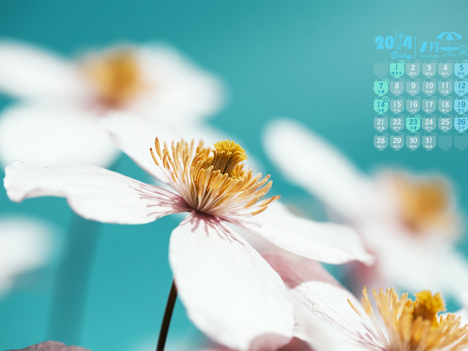 Juli 2014 Kalender Wallpaper (2) #18 - 1600x1200