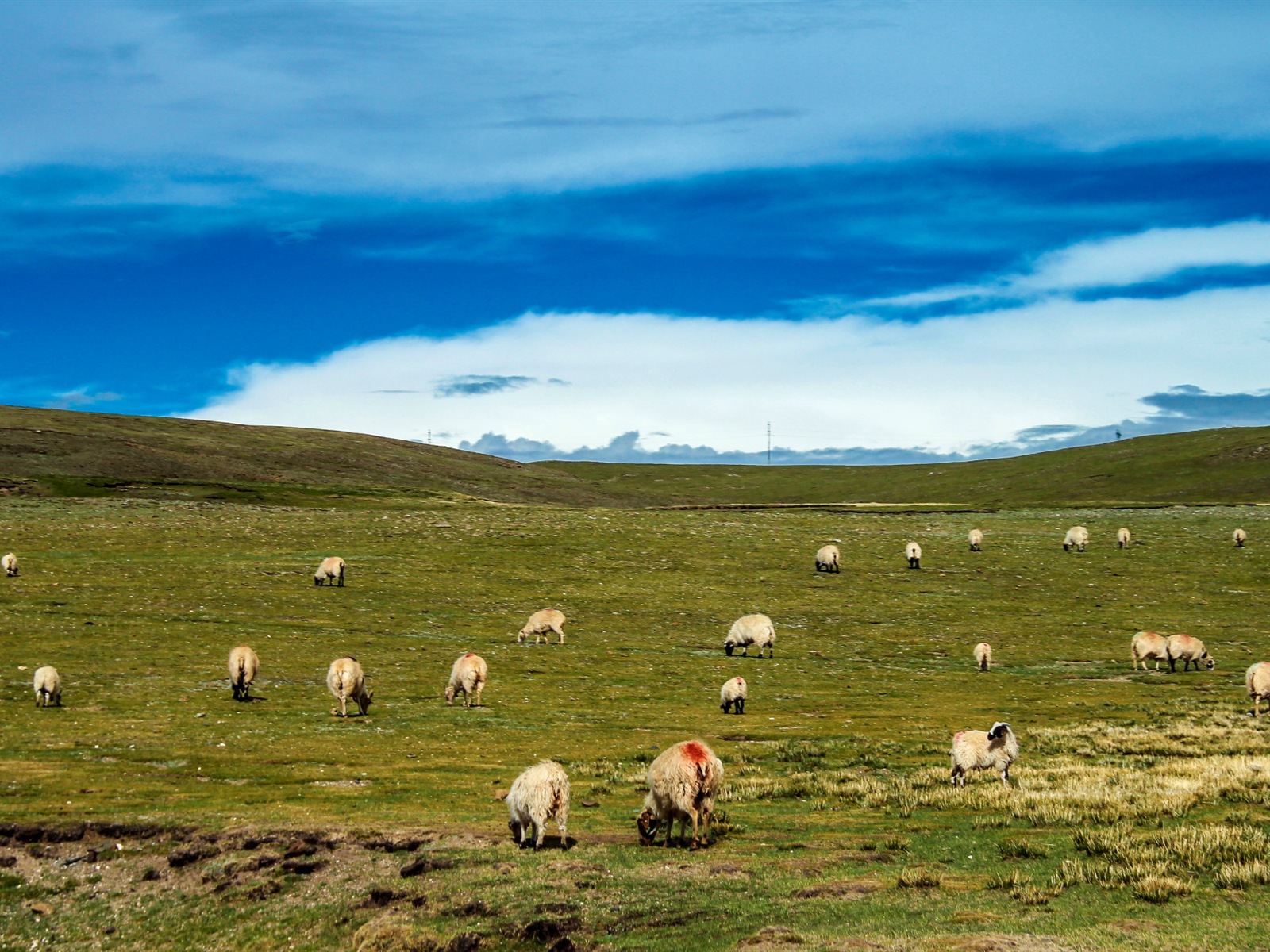 Qinghai Plateau krásné scenérie tapety #17 - 1600x1200